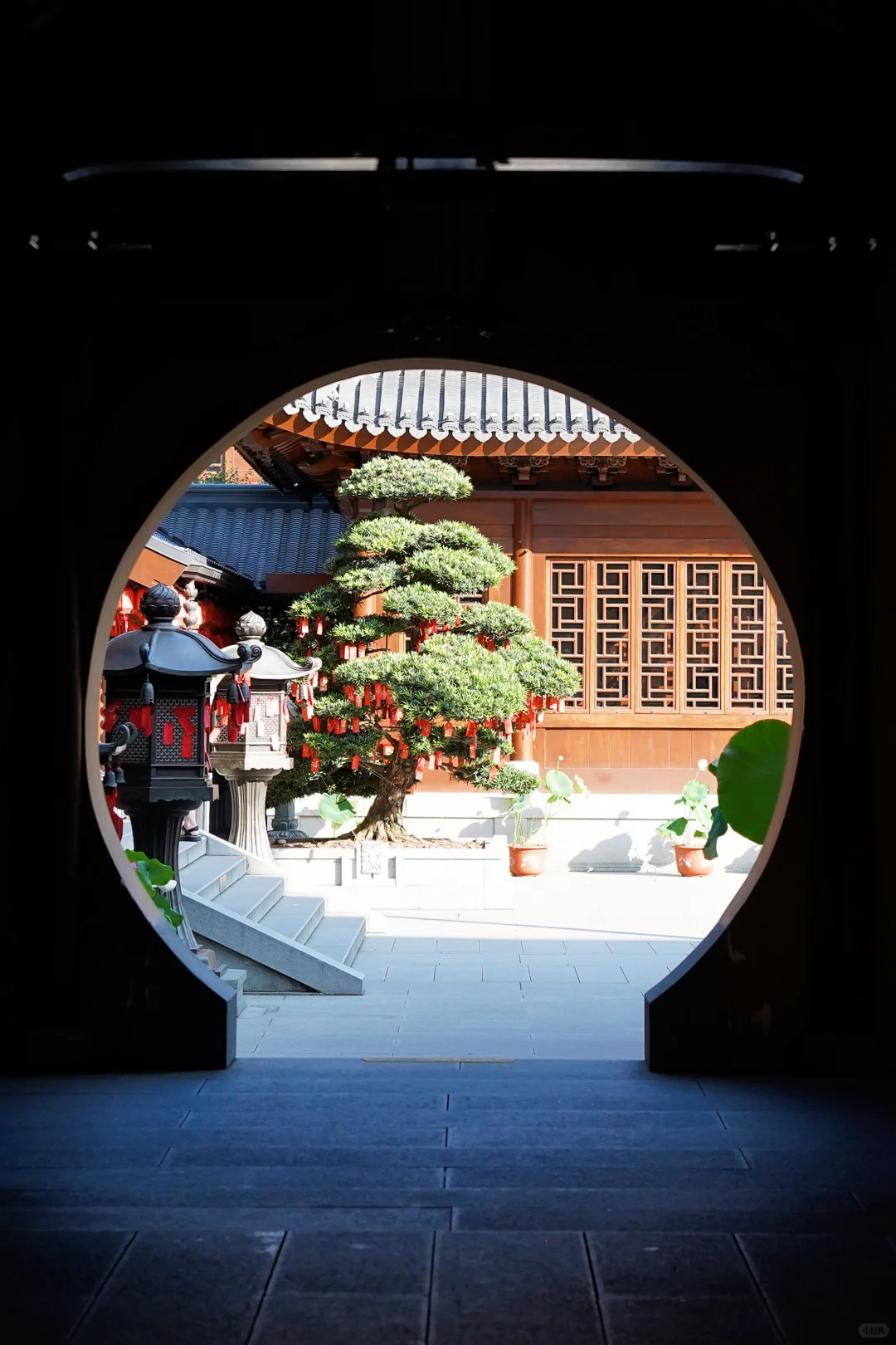 Shanghai Cultural Exploration — Gardens, Temples & Old Shanghai