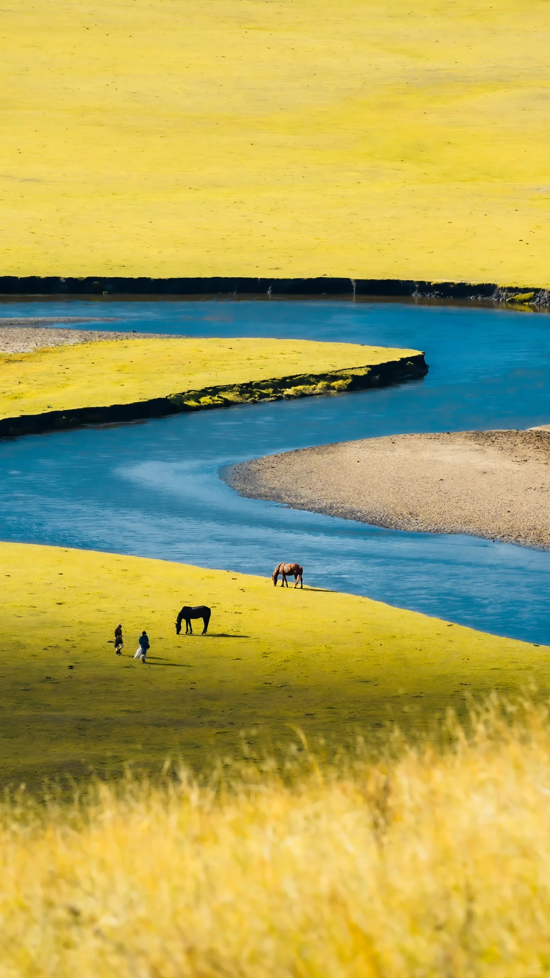 Summer grassland scenery in Inner Mongolia