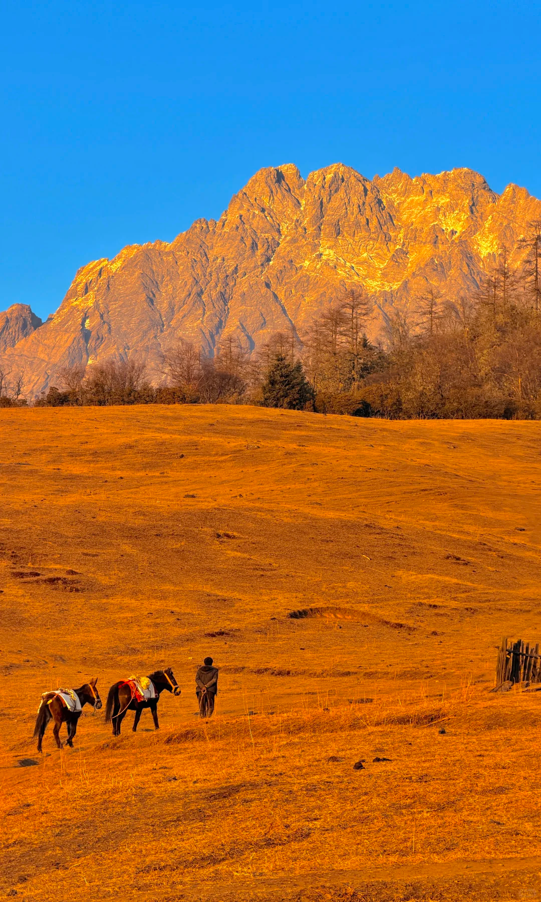 Lijiang ancient town at sunset
