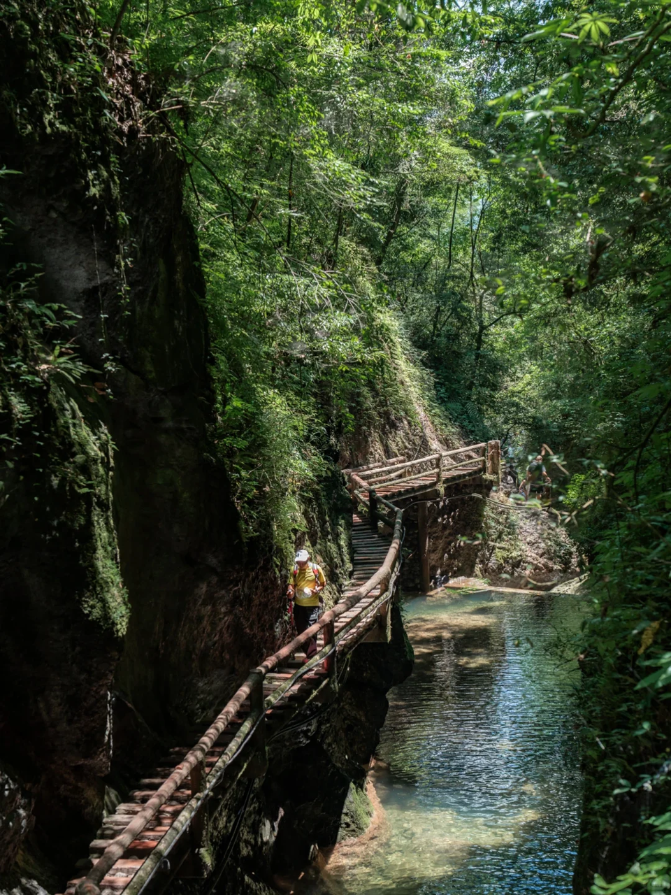 Day 5: Ancient Wonders of Sichuan |Qingcheng Mountain