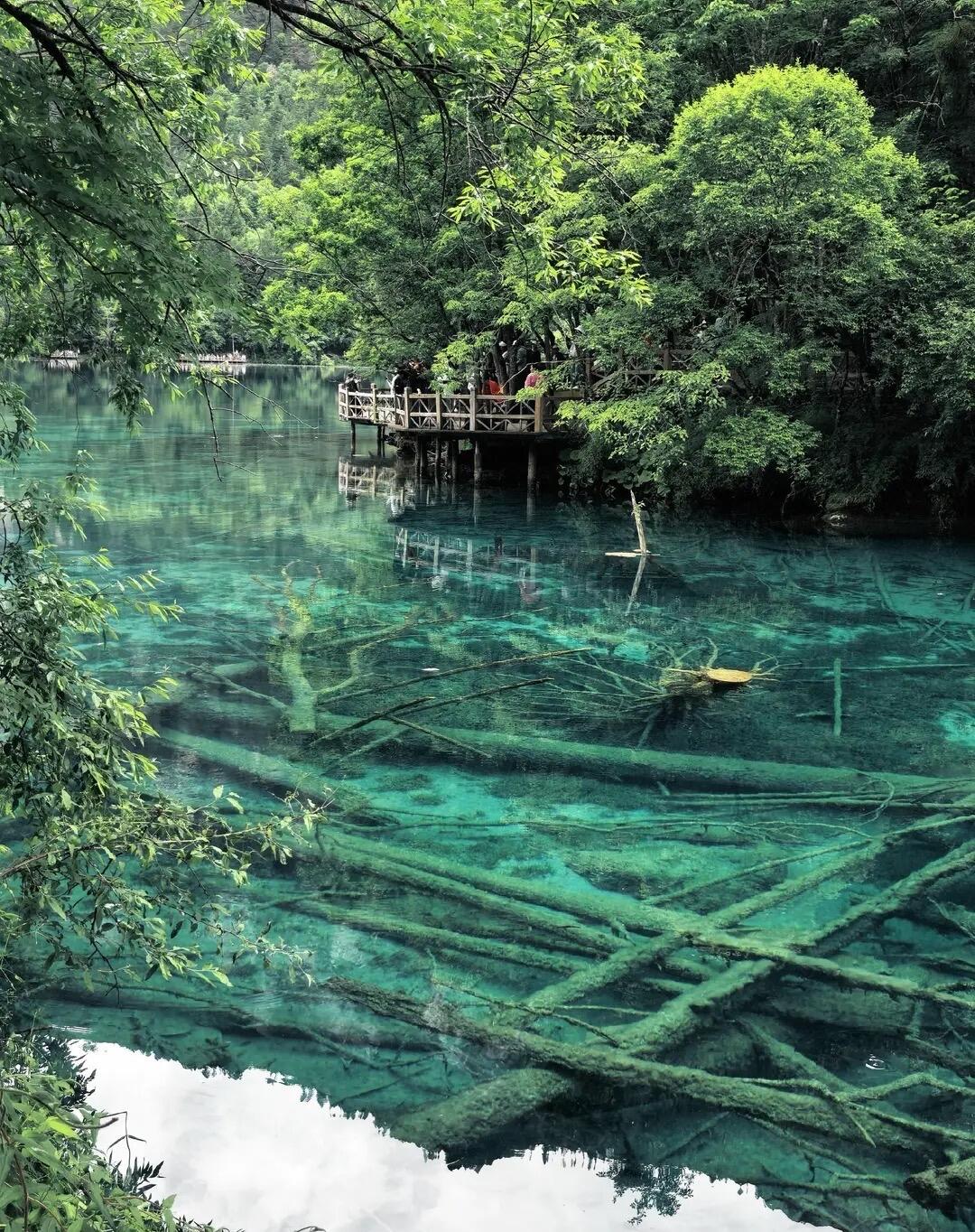 Enter the Fairy-Tale World of Jiuzhaigou