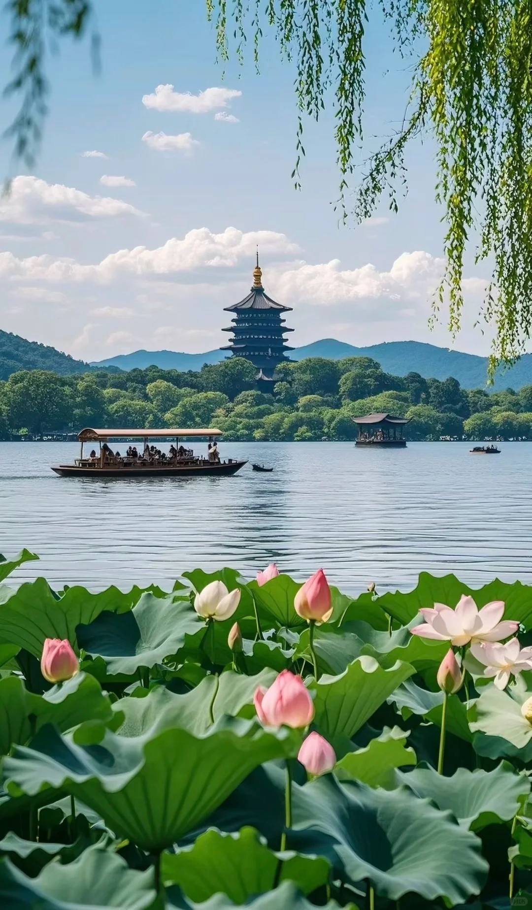 Hangzhou West Lake and tea country