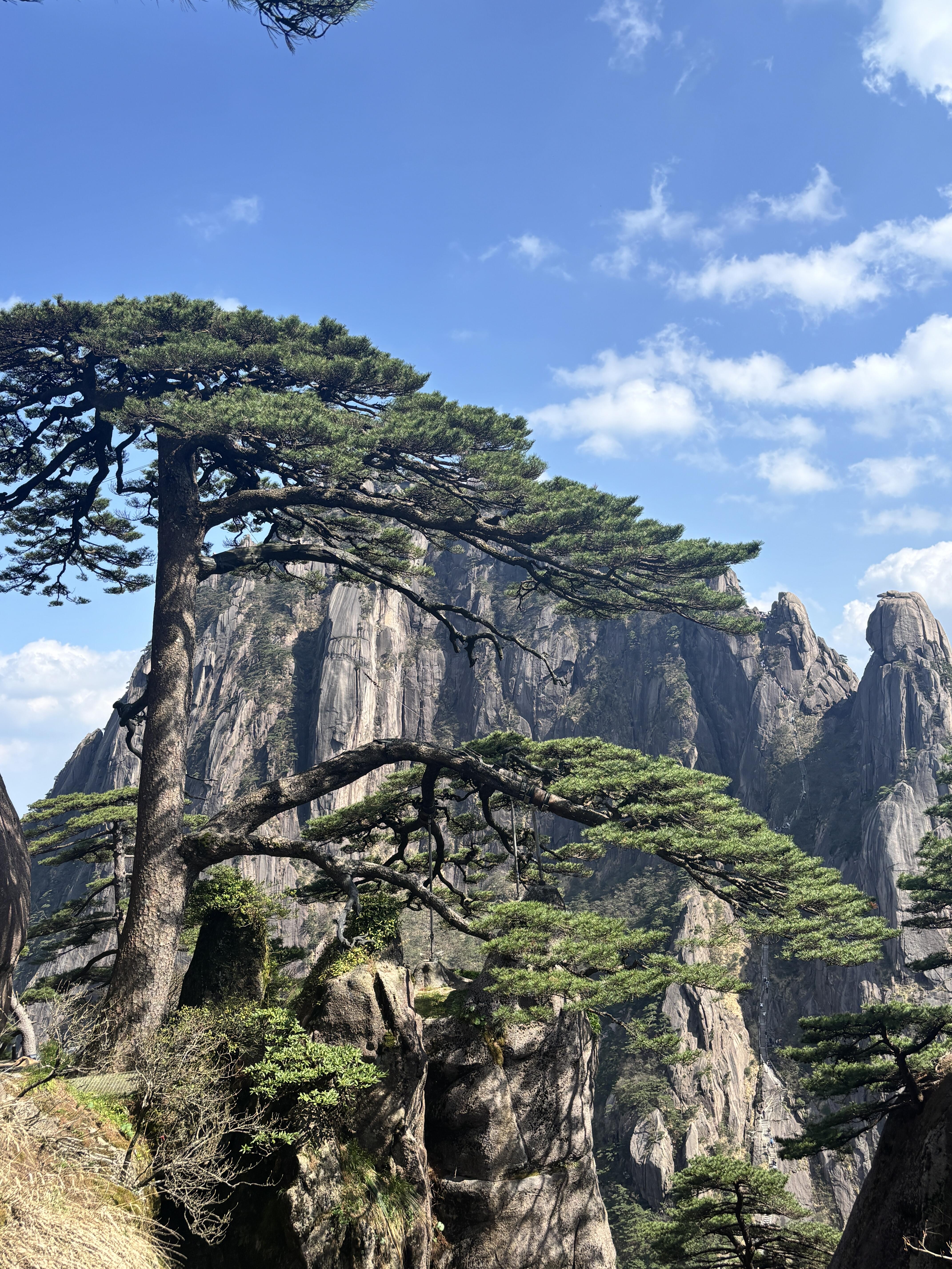 Huangshan Private Tours