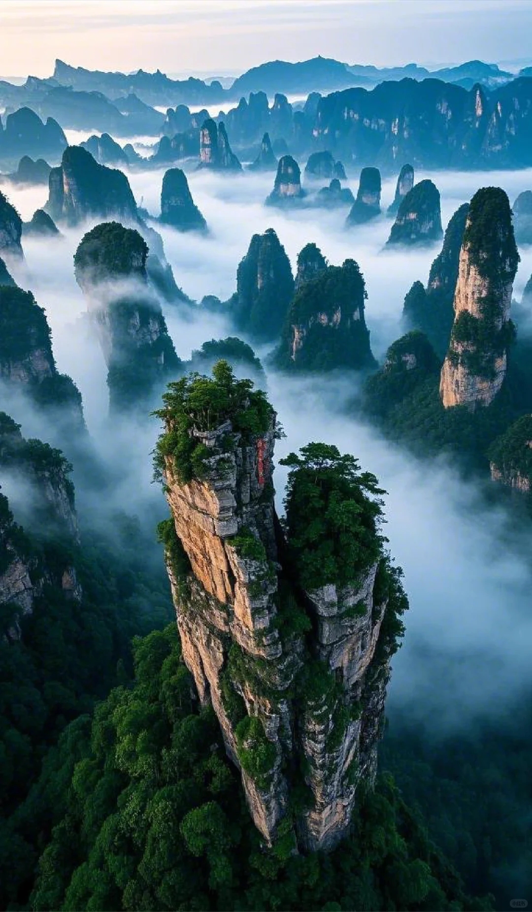 Zhangjiajie Peaks & Misty Valleys