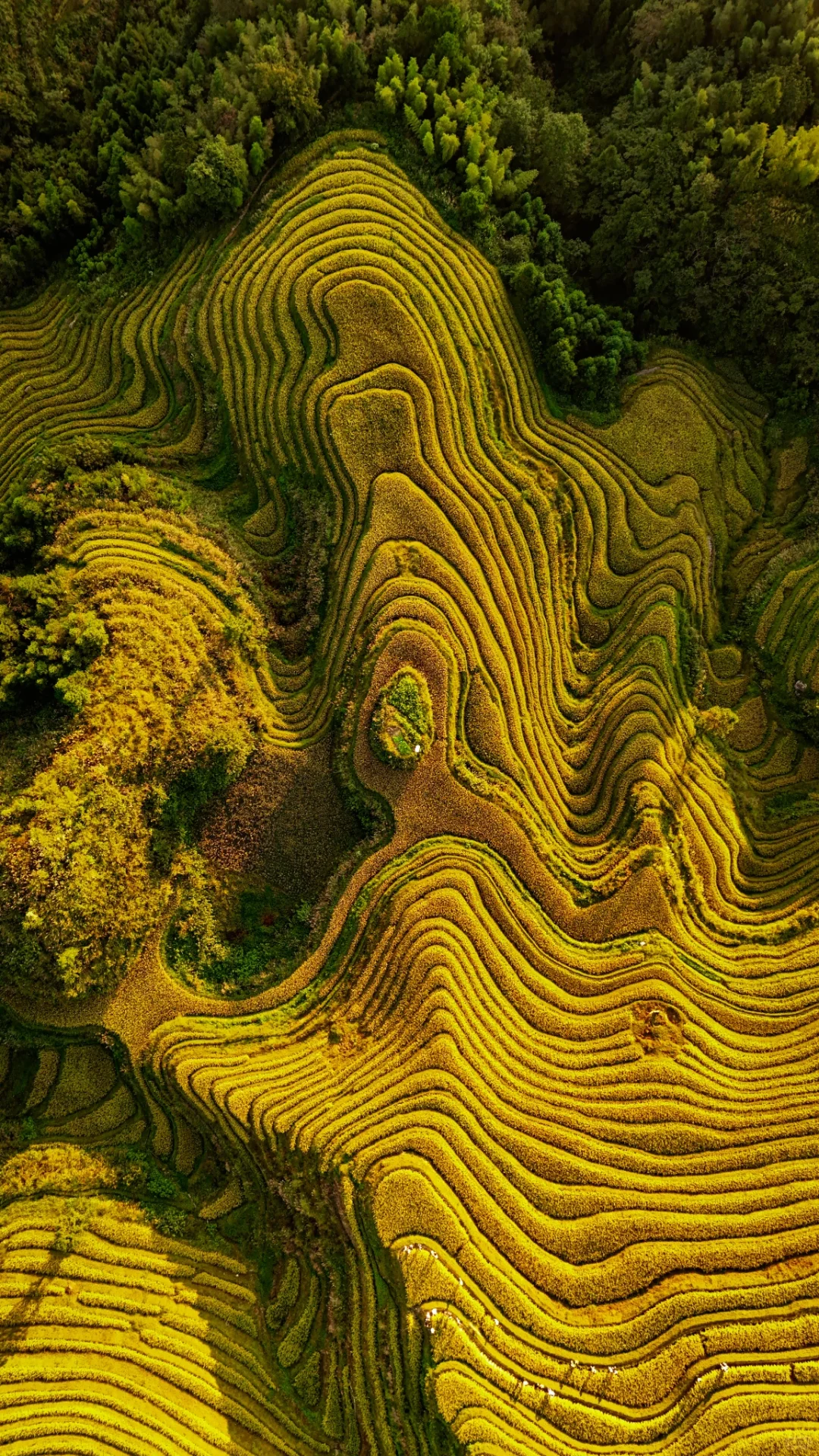 4-Day Guilin, Longji & Yangshuo Scenic Escape
