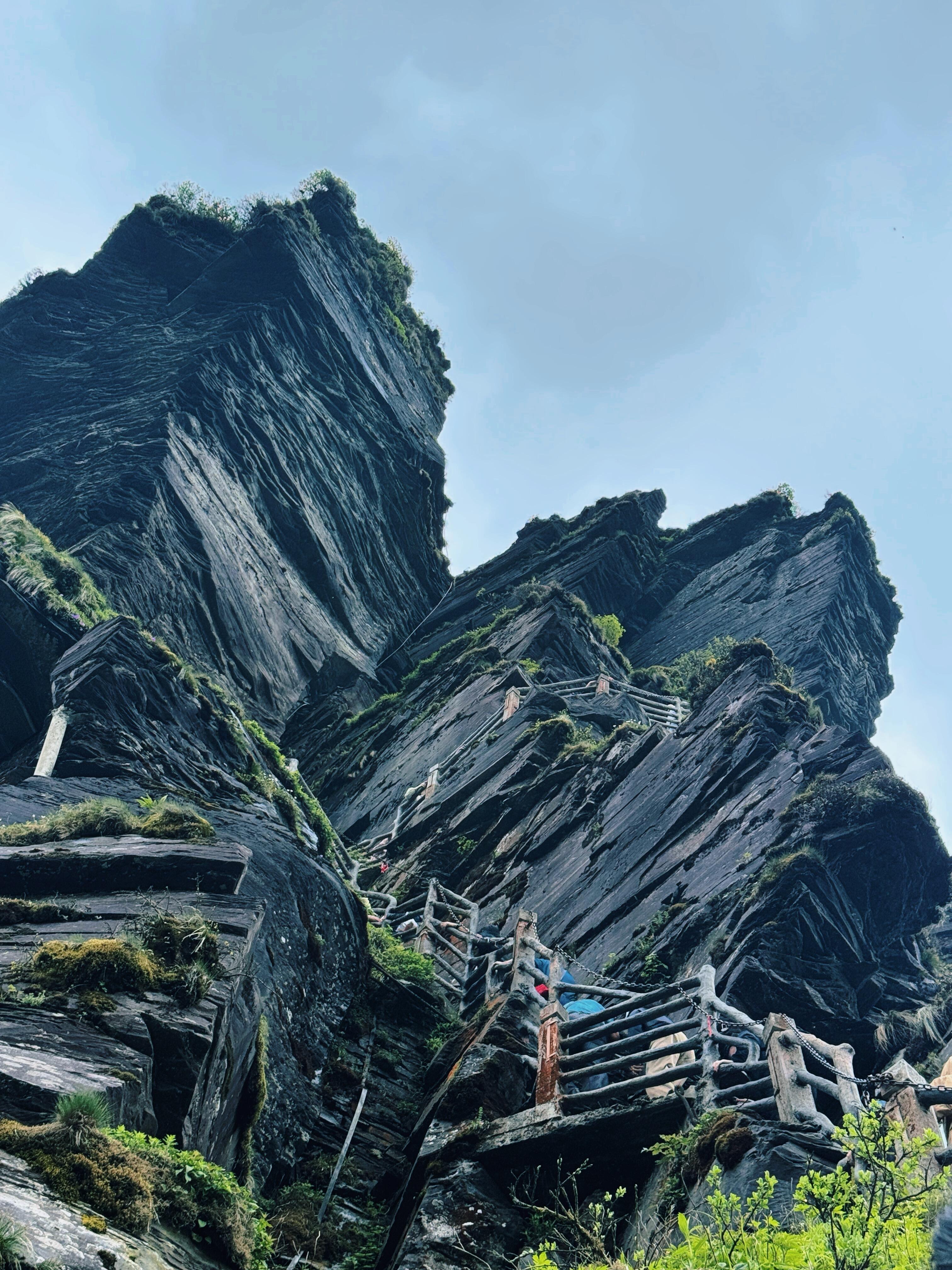 Day 5: Fanjingshan Exploration ― A Mountain Above the Clouds
