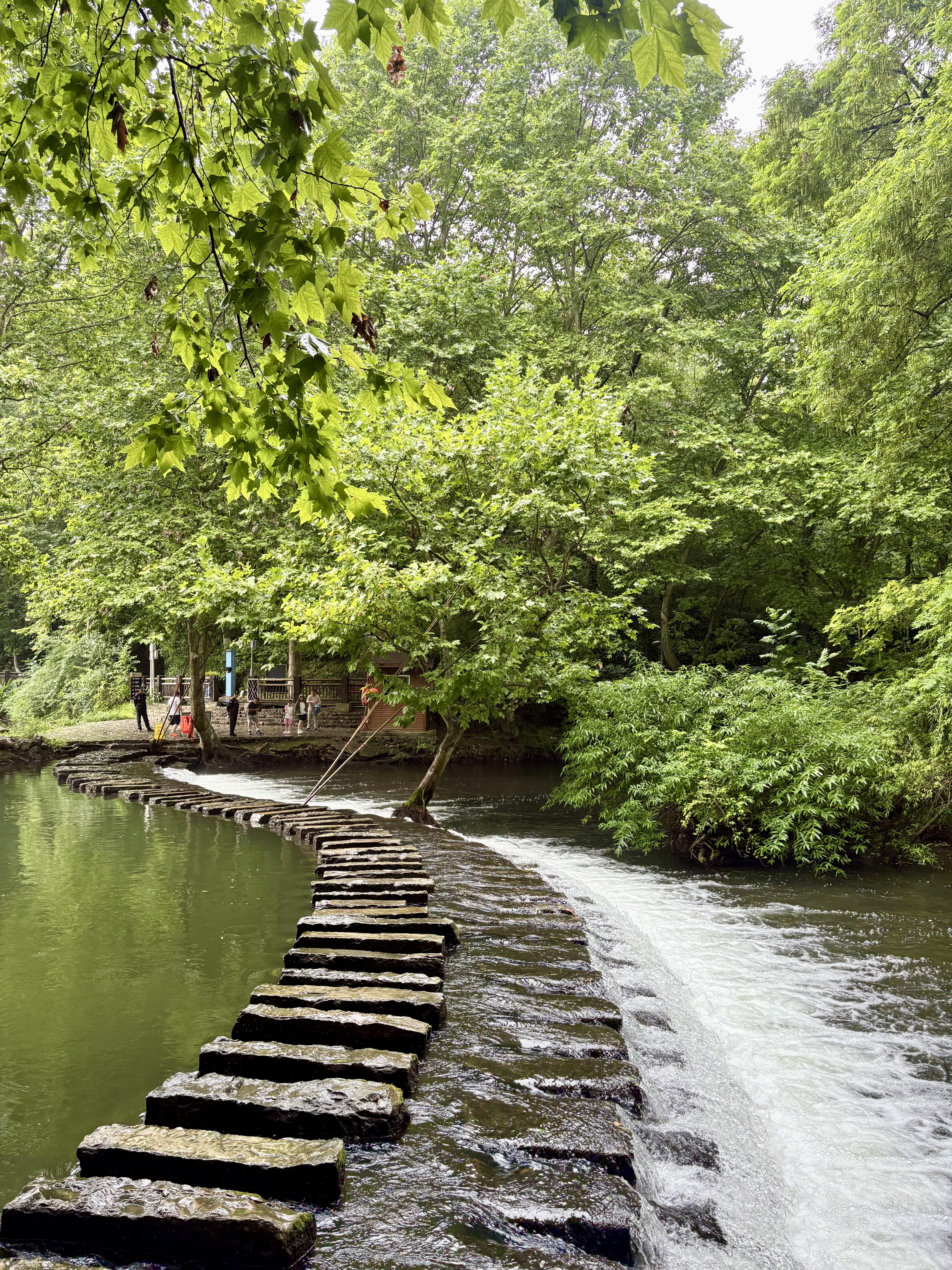 Day 1: Arrival in Guiyang ― Gateway to Guizhou’s Cultural Landscapes