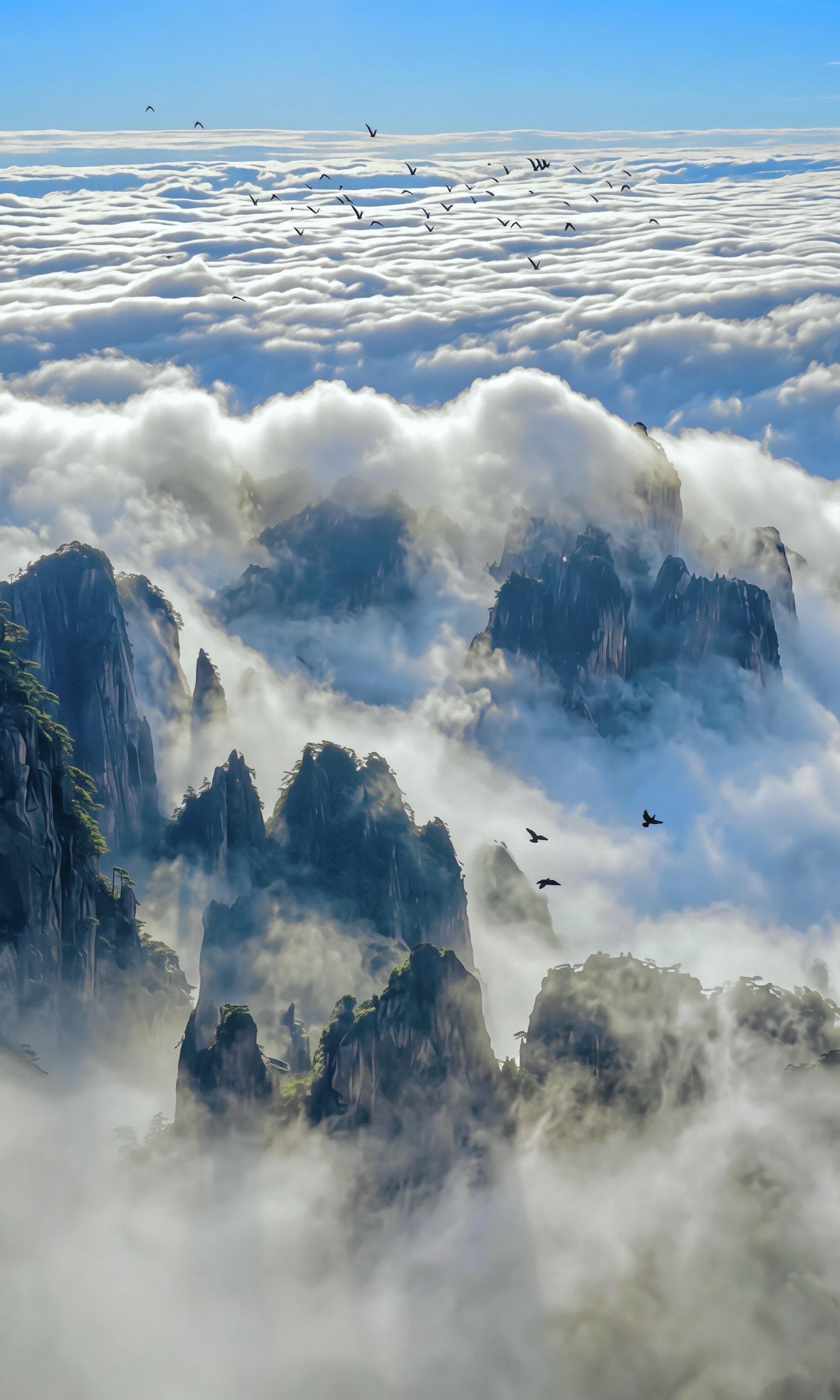 Day 6: Huangshan Mountain Exploration — China’s Legendary Landscape