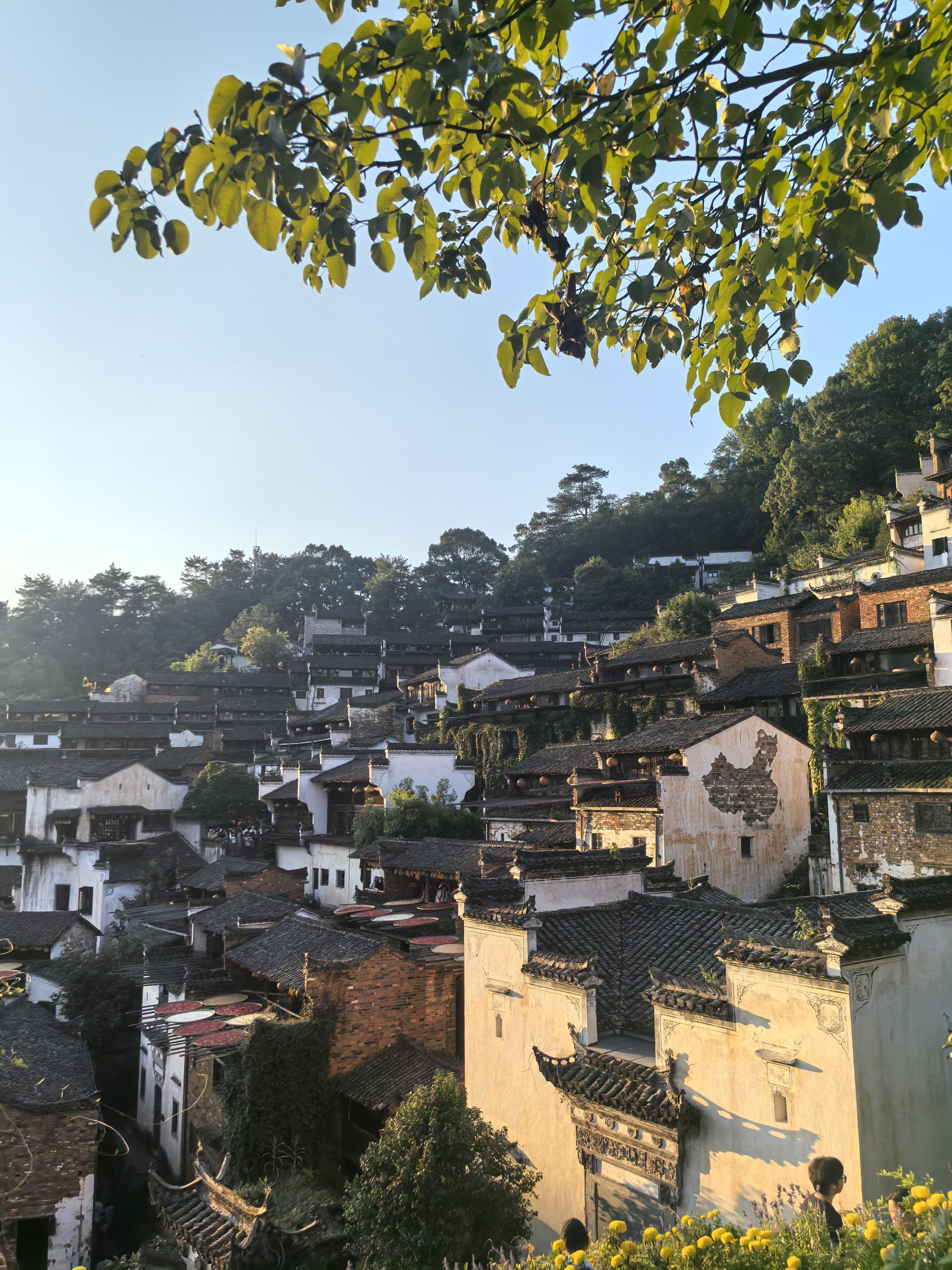 Day 9: Wuyuan → Shanghai — Return to the Modern City