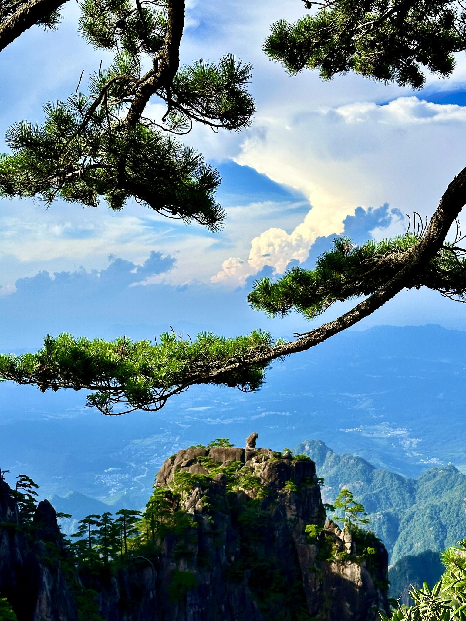 Experience Huangshan Through Trekking