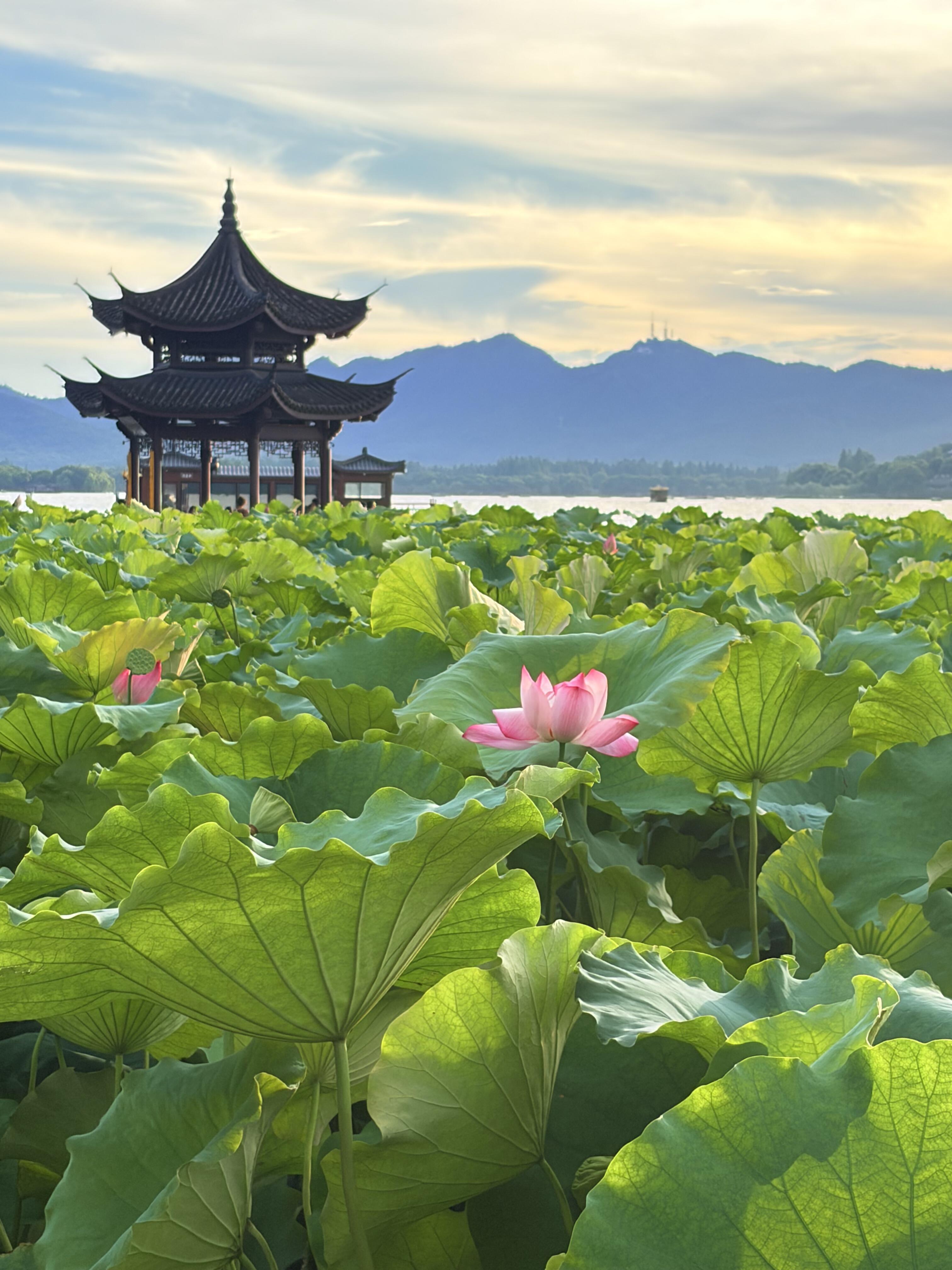 Huangshan → Hangzhou — From Mountain Landscapes to Jiangnan Beauty
