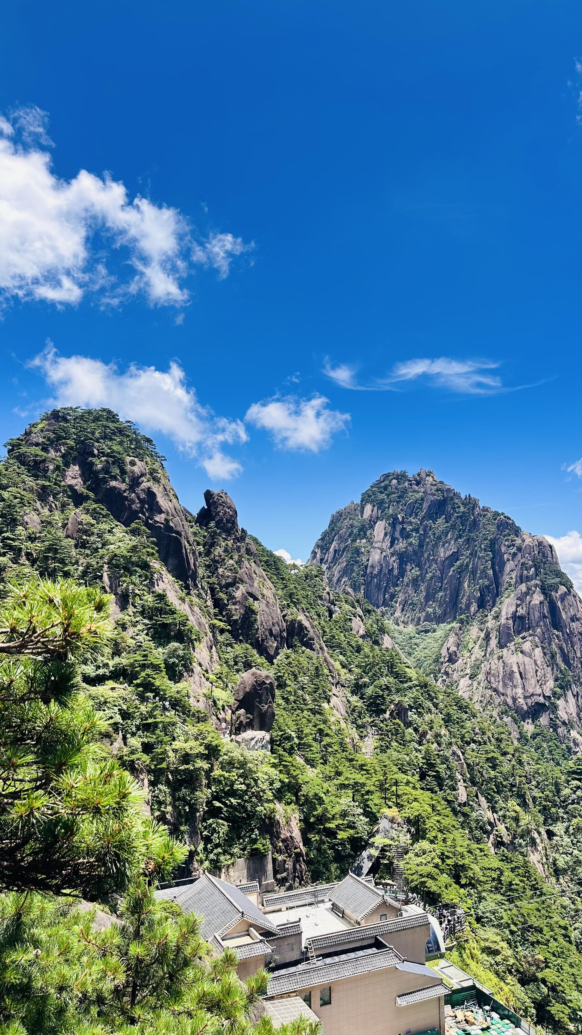 9-Day Shanghai & Huangshan Spring Scenery Tour