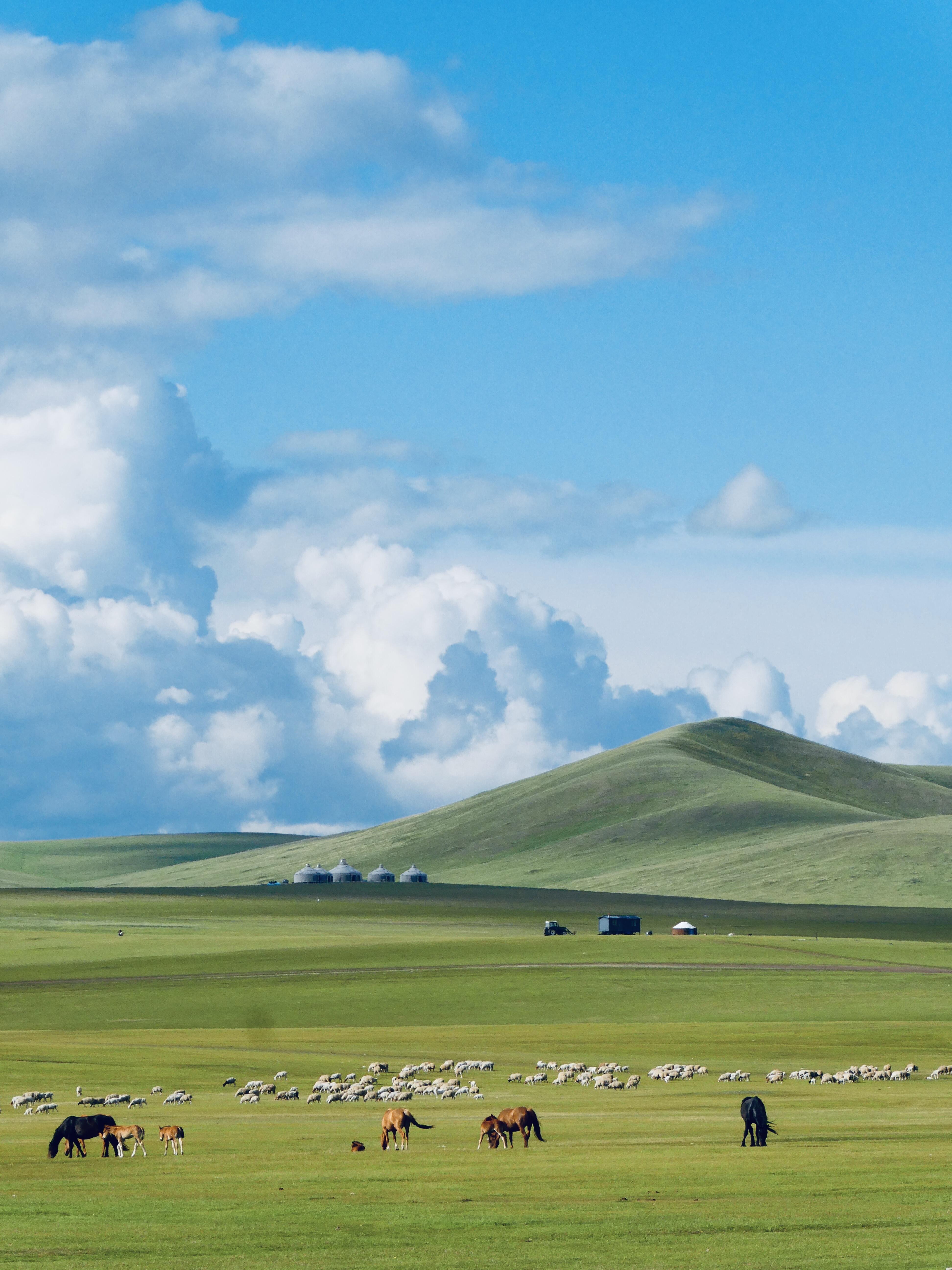 Arrival in Hailar — Gateway to Hulunbuir