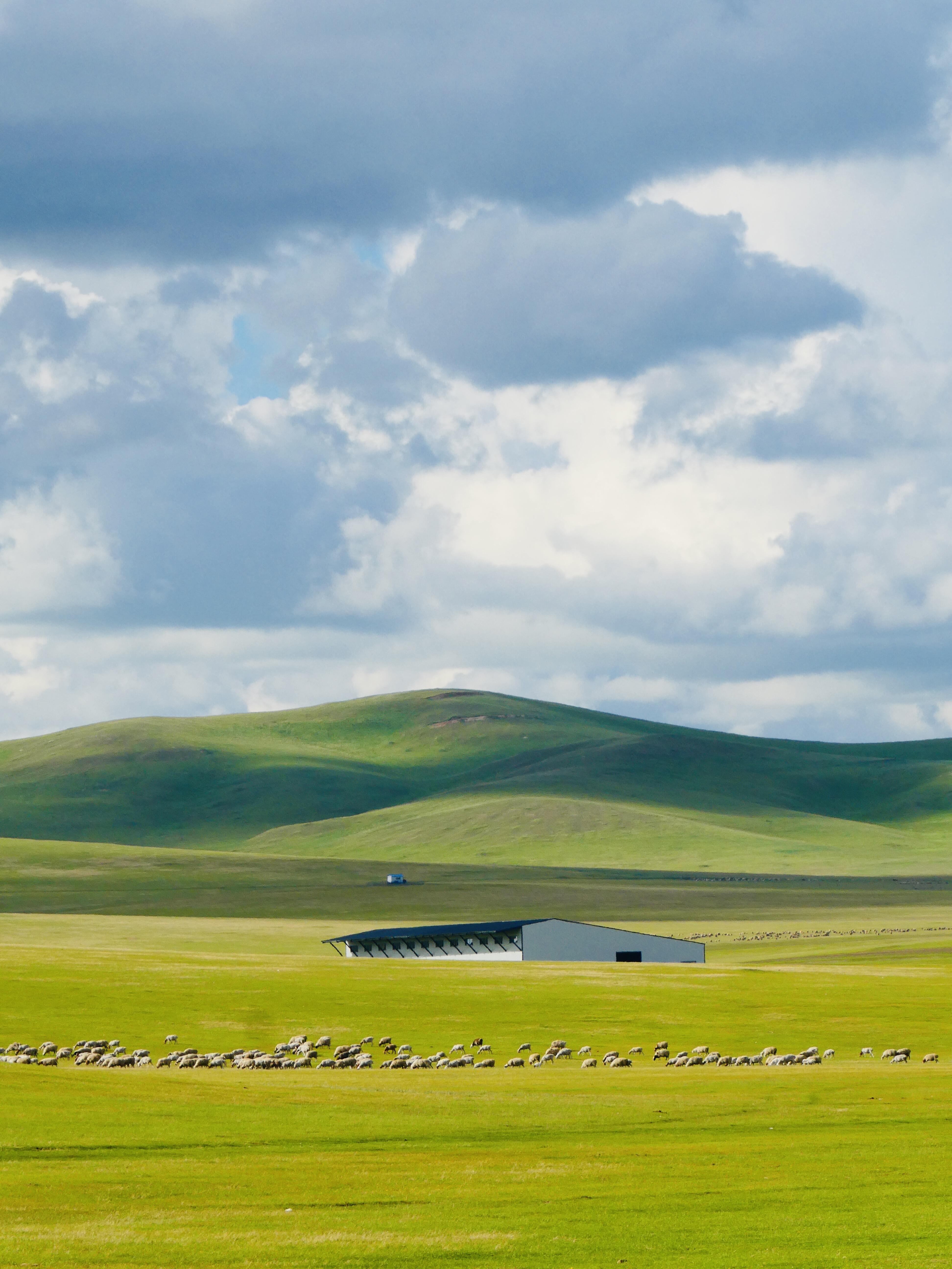 Discover the Endless Beauty of Hulunbuir Grassland