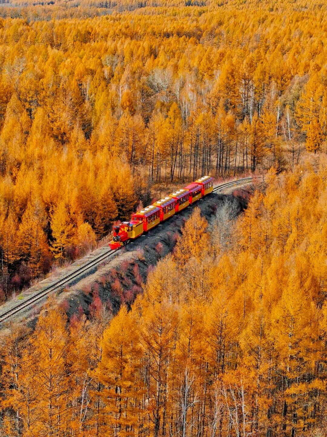 Moerdaoga Forest → Border Grasslands → Shiwei → Heishantou