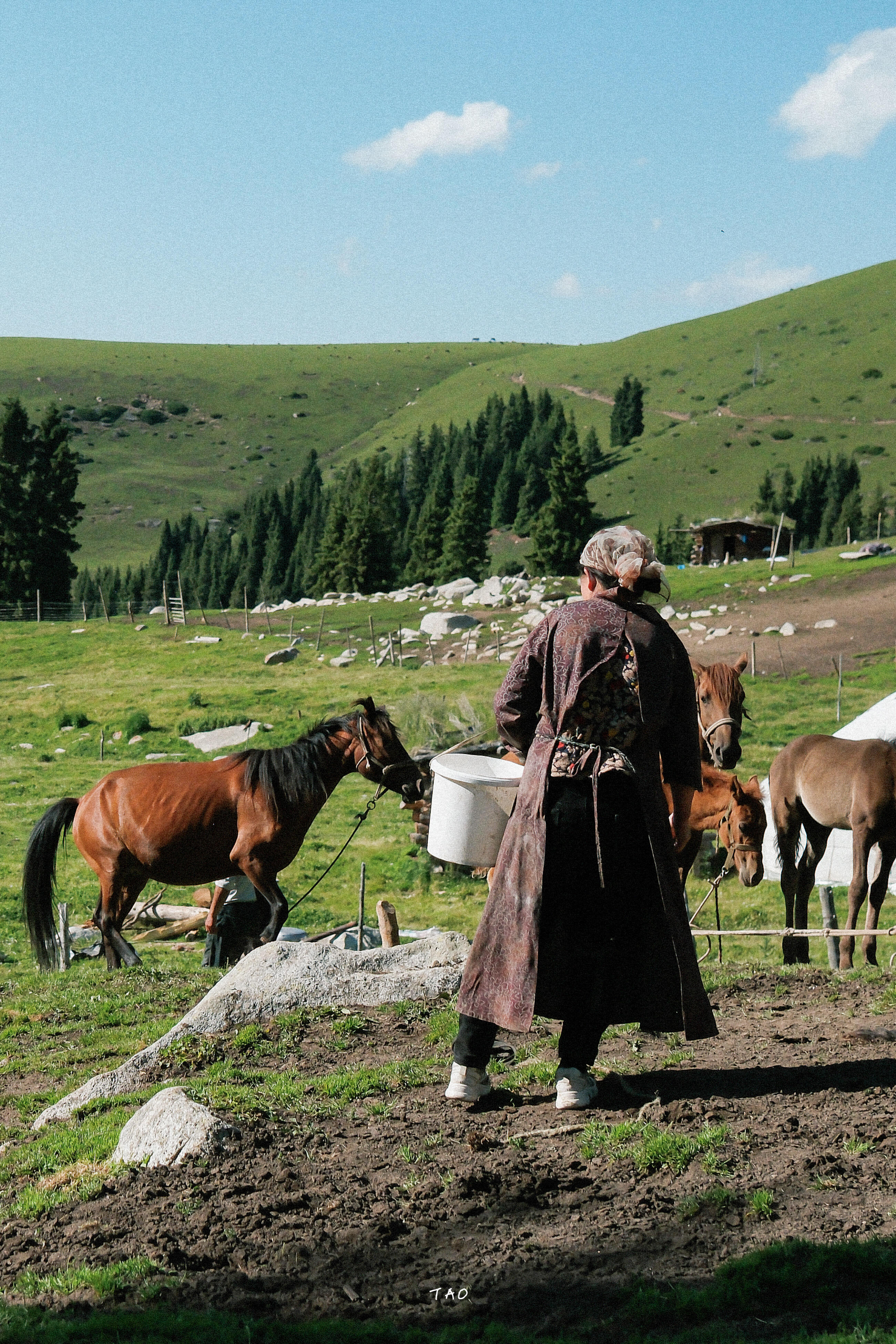 Hailar → Hulunbuir Grassland → Ergun — Endless Prairie Landscapes