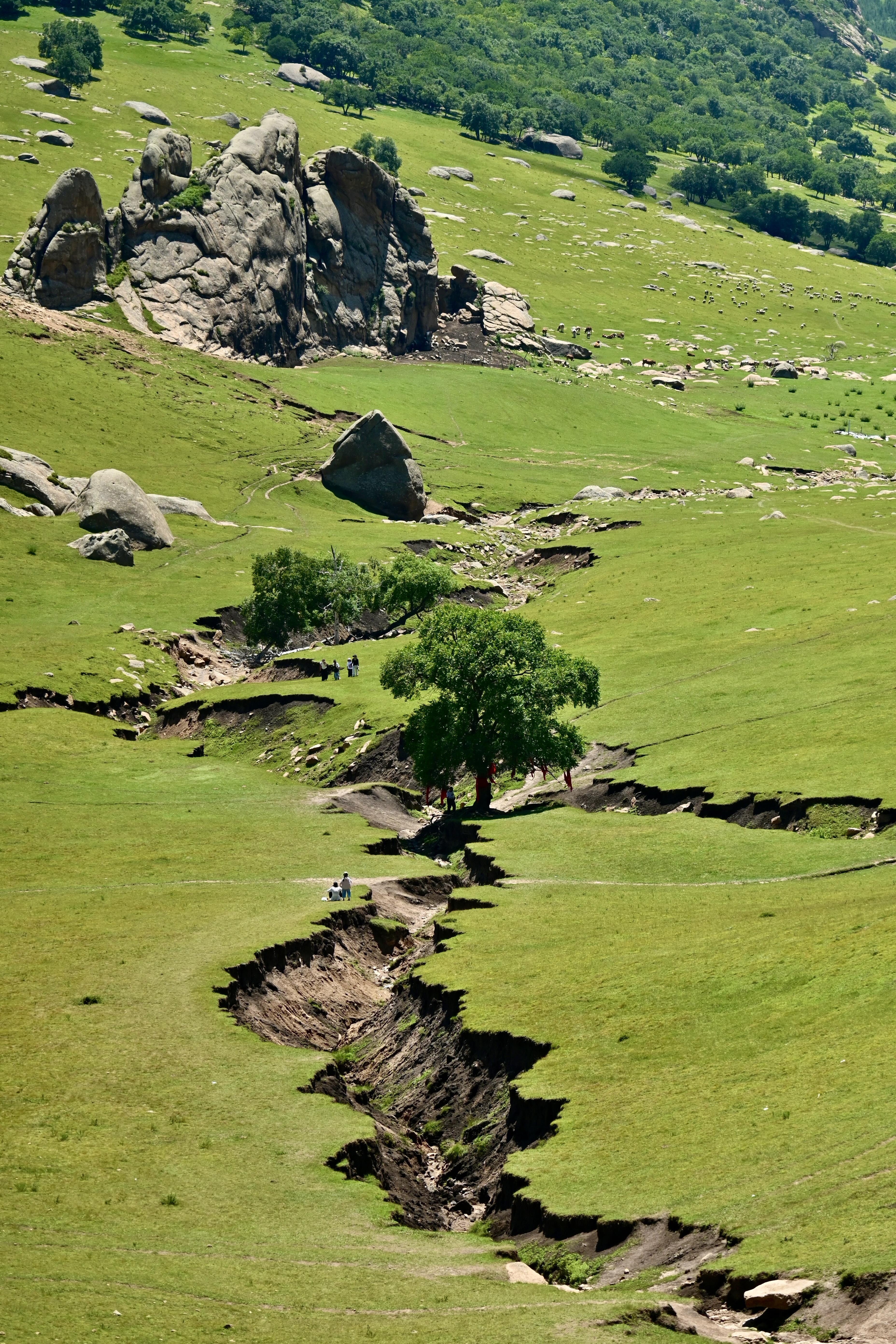 Huitengxile Grassland to Daqing Mountain to Hohhot