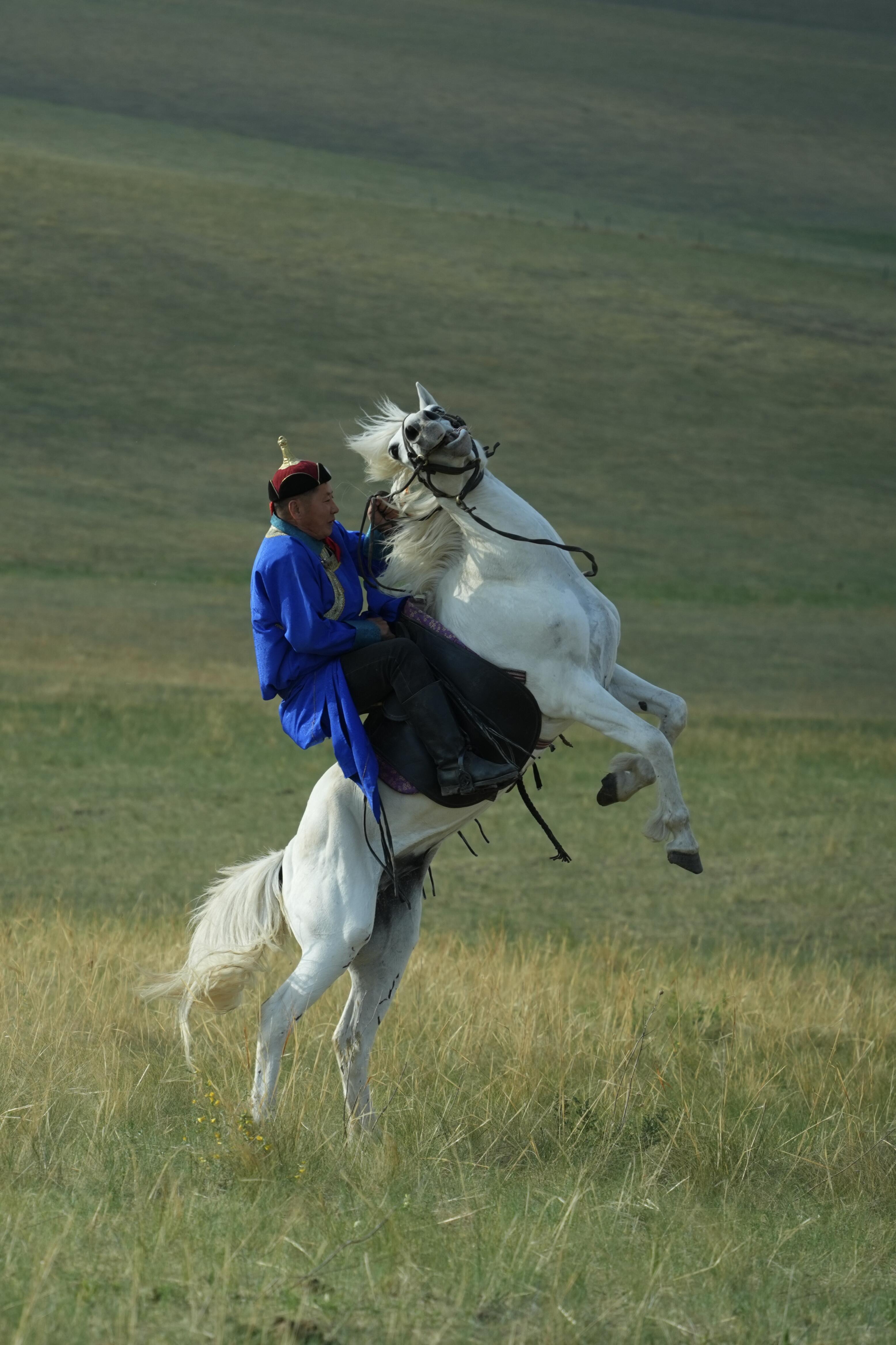 Experience Mongolian Warrior Traditions