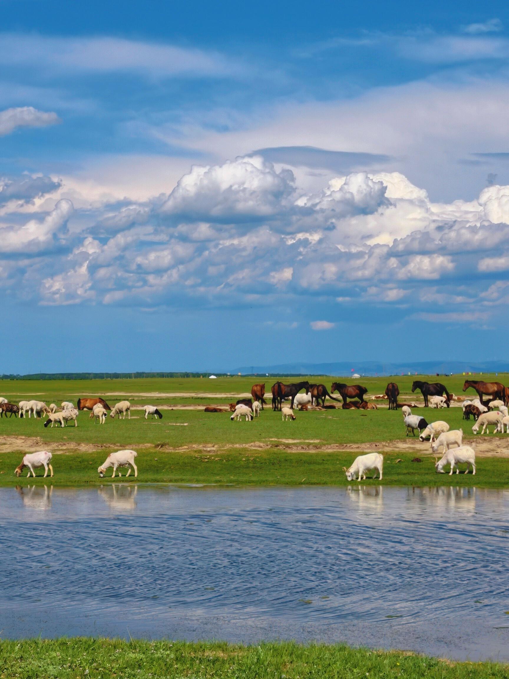 4-Day Xilingol Inner Mongolia Grassland Life Tour