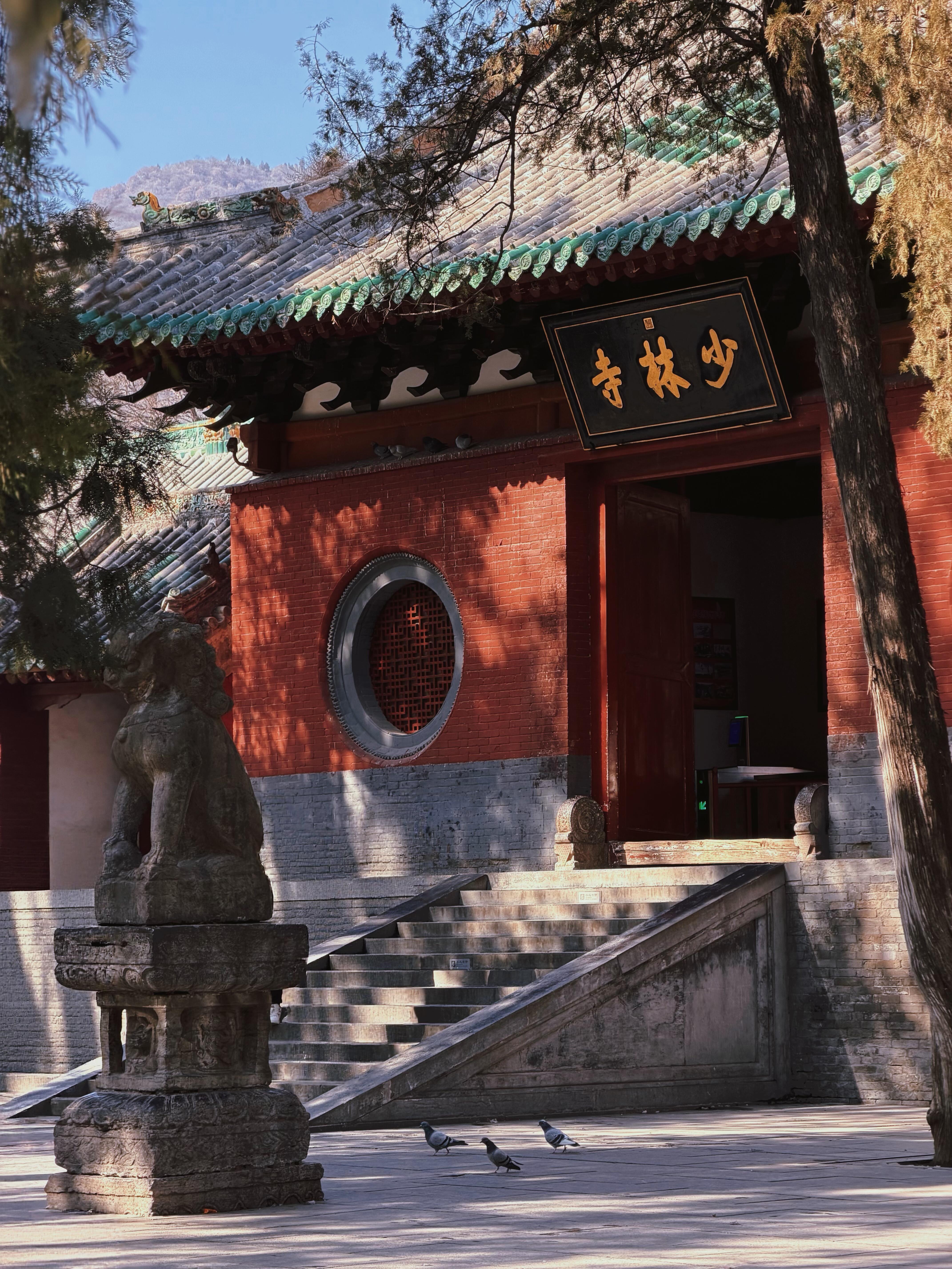 Luoyang → Shaolin Temple → Shanghai