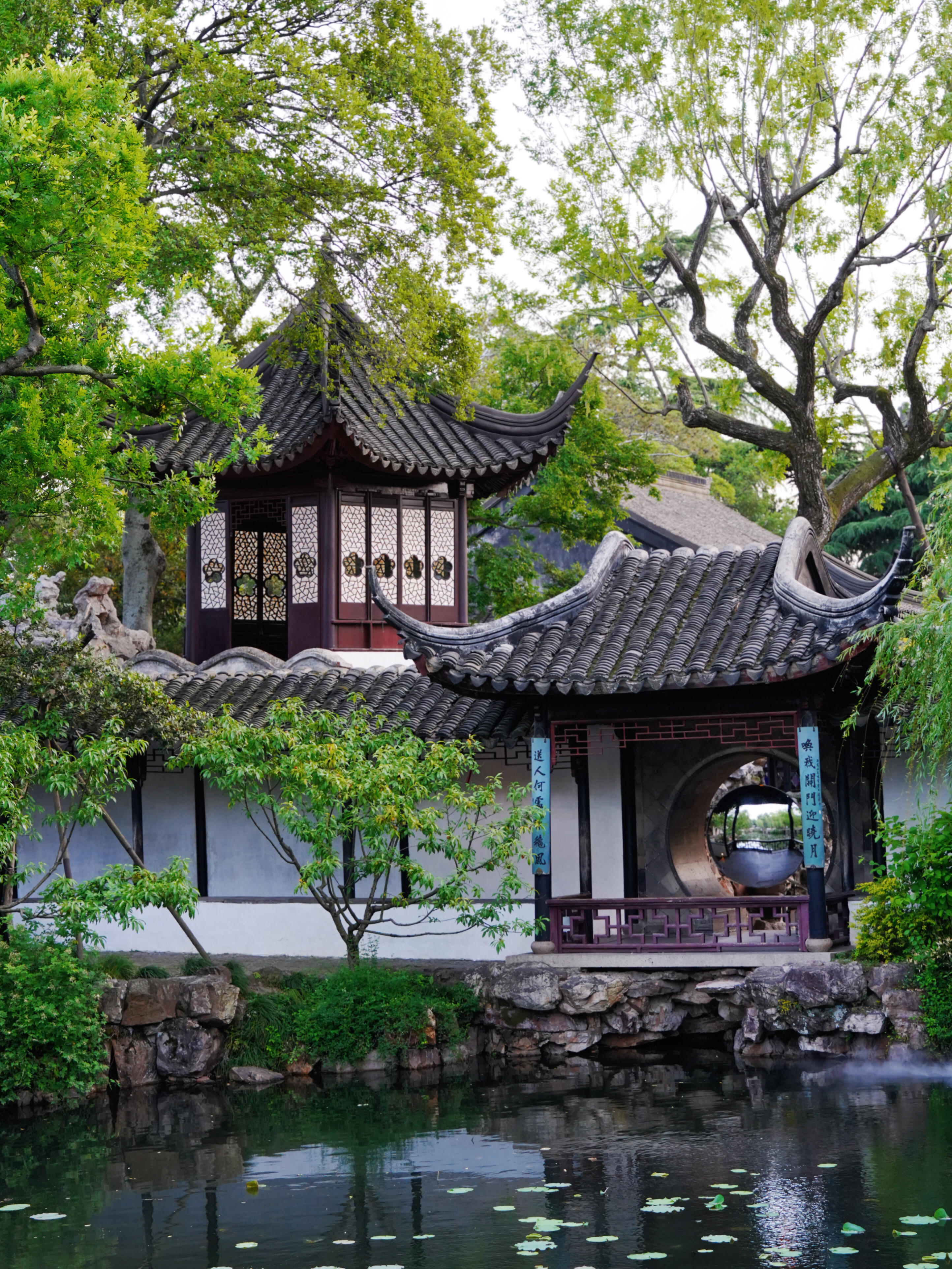 Suzhou Classical Gardens & Ancient City Experience