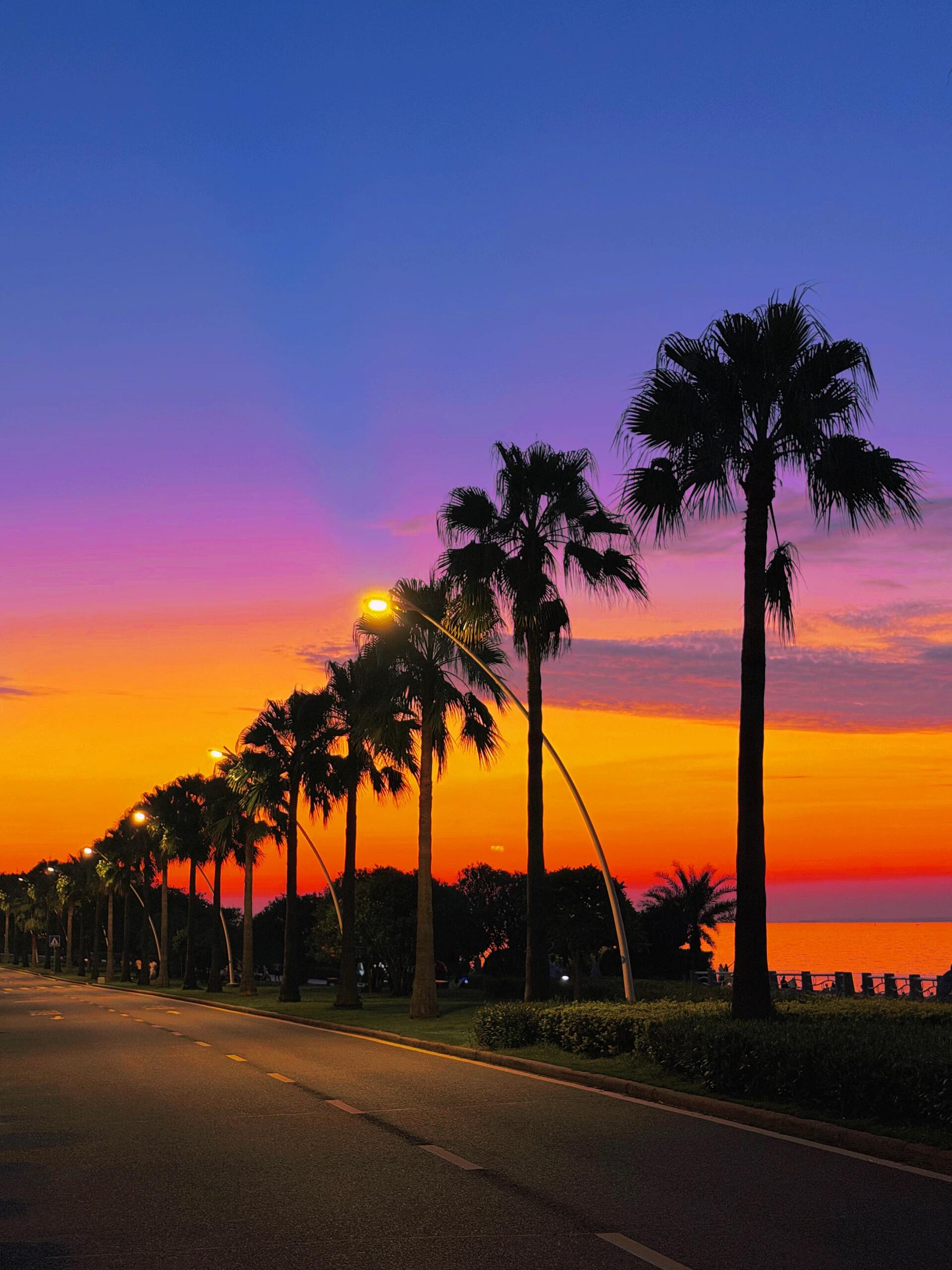 Arrival in Xiamen — Welcome to the Coastal Garden City