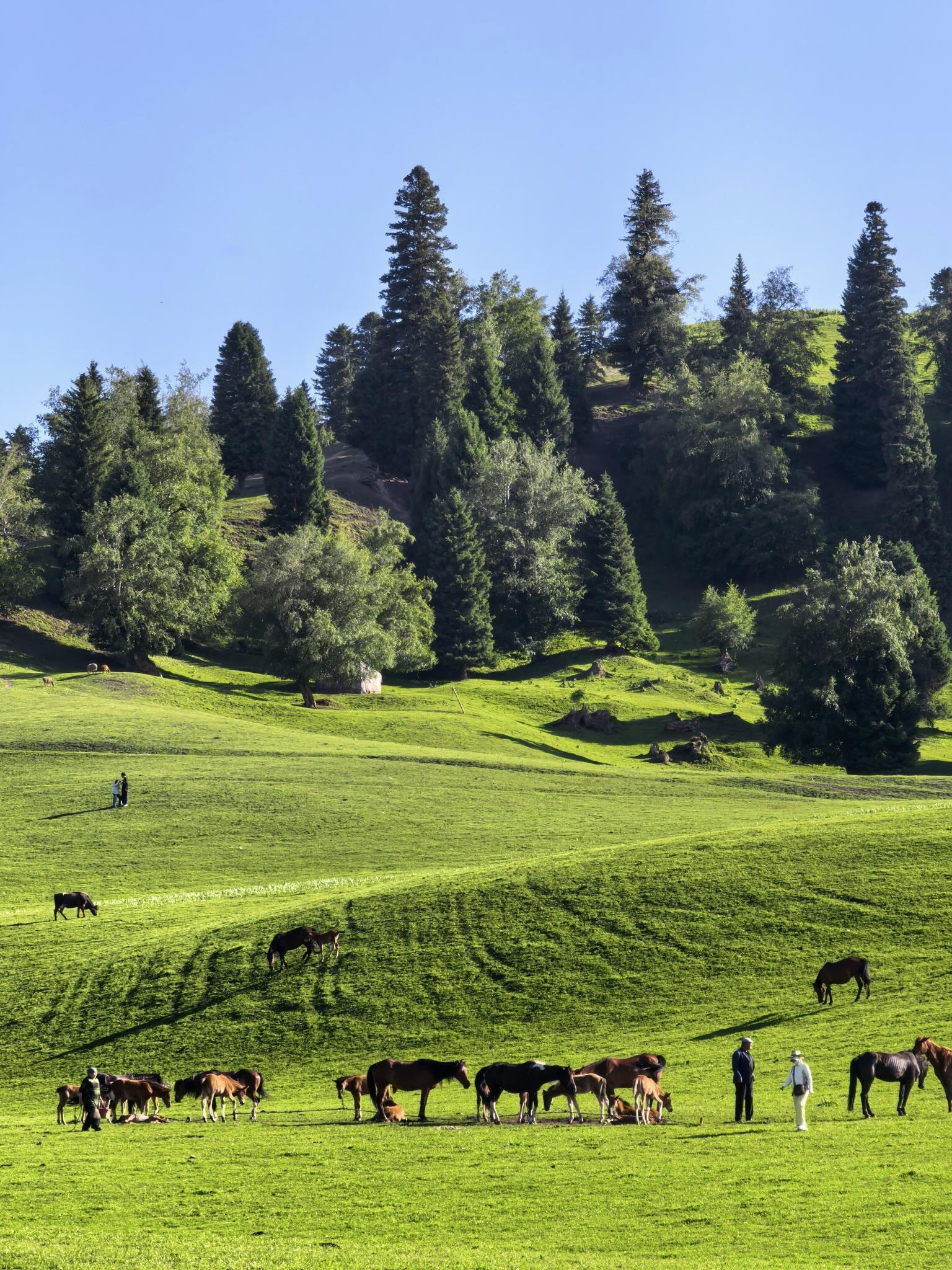 7-Day Xinjiang Highlights Discovery Tour