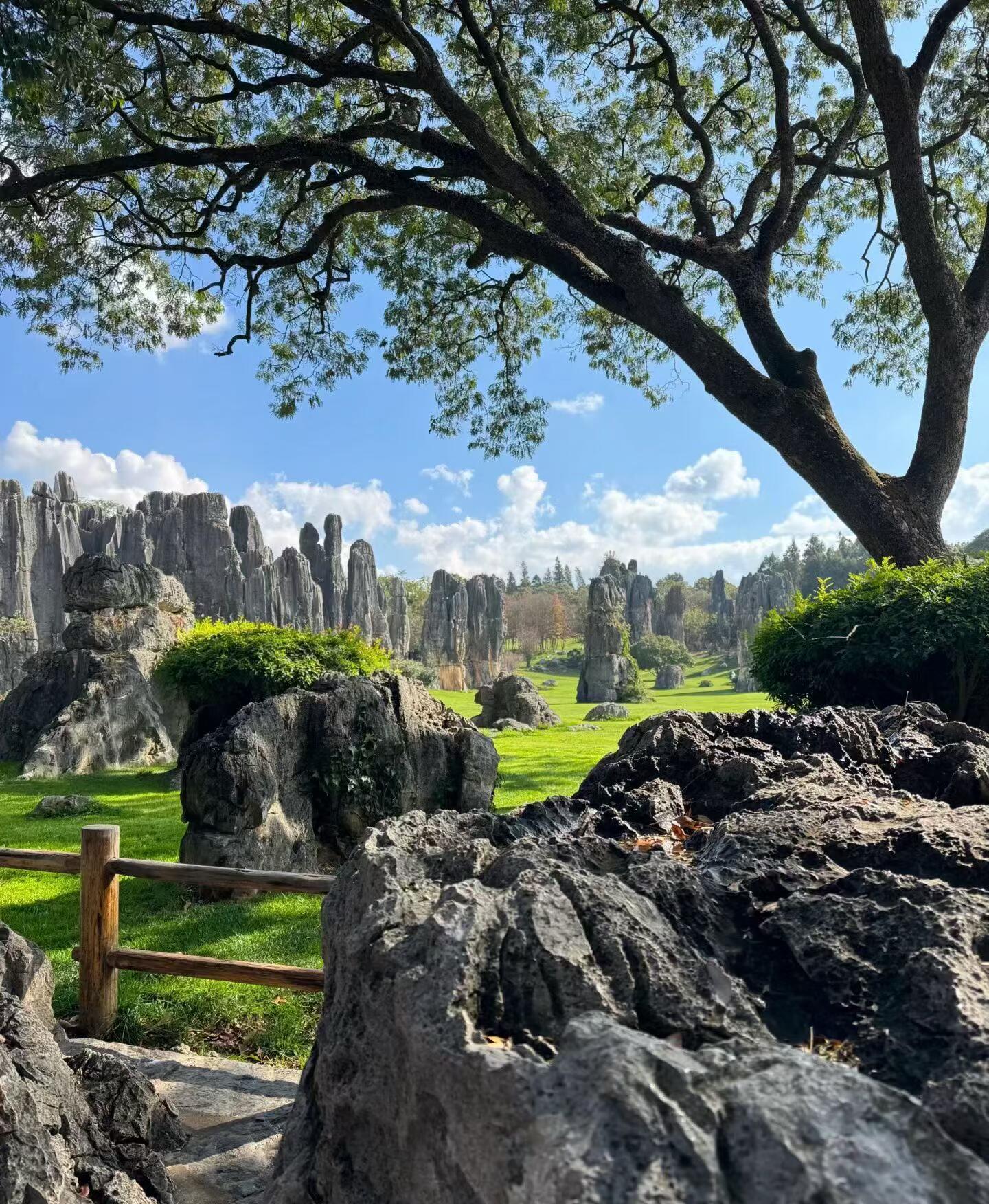 Explore Kunming’s Unique Natural Landscapes