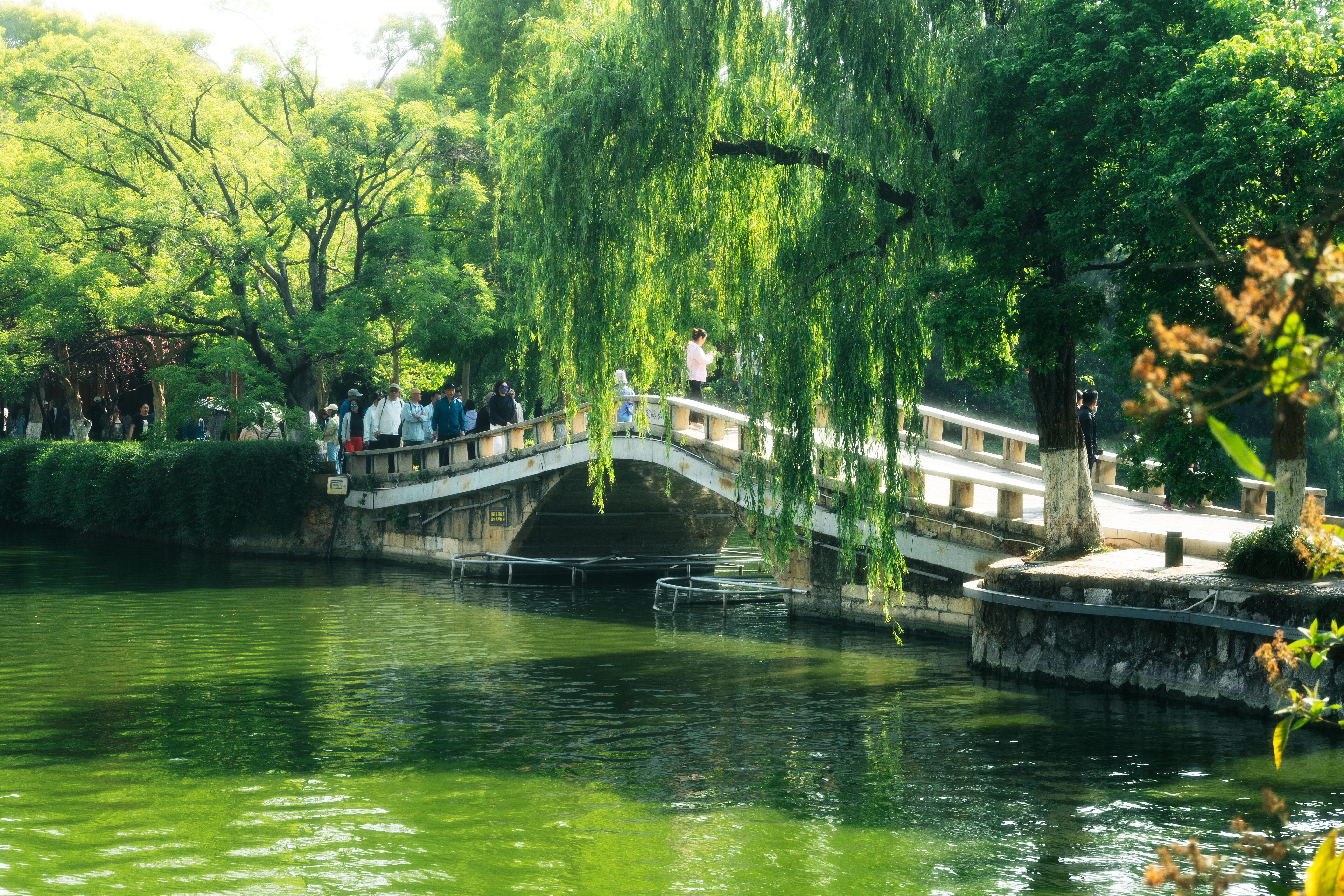 Day 1: Arrival in Kunming — Welcome to Yunnan