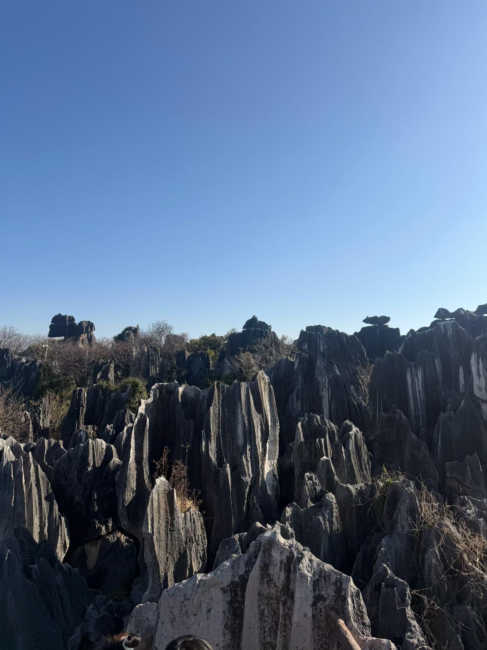 Day 2: Kunming — Stone Forest & Cultural Exploration