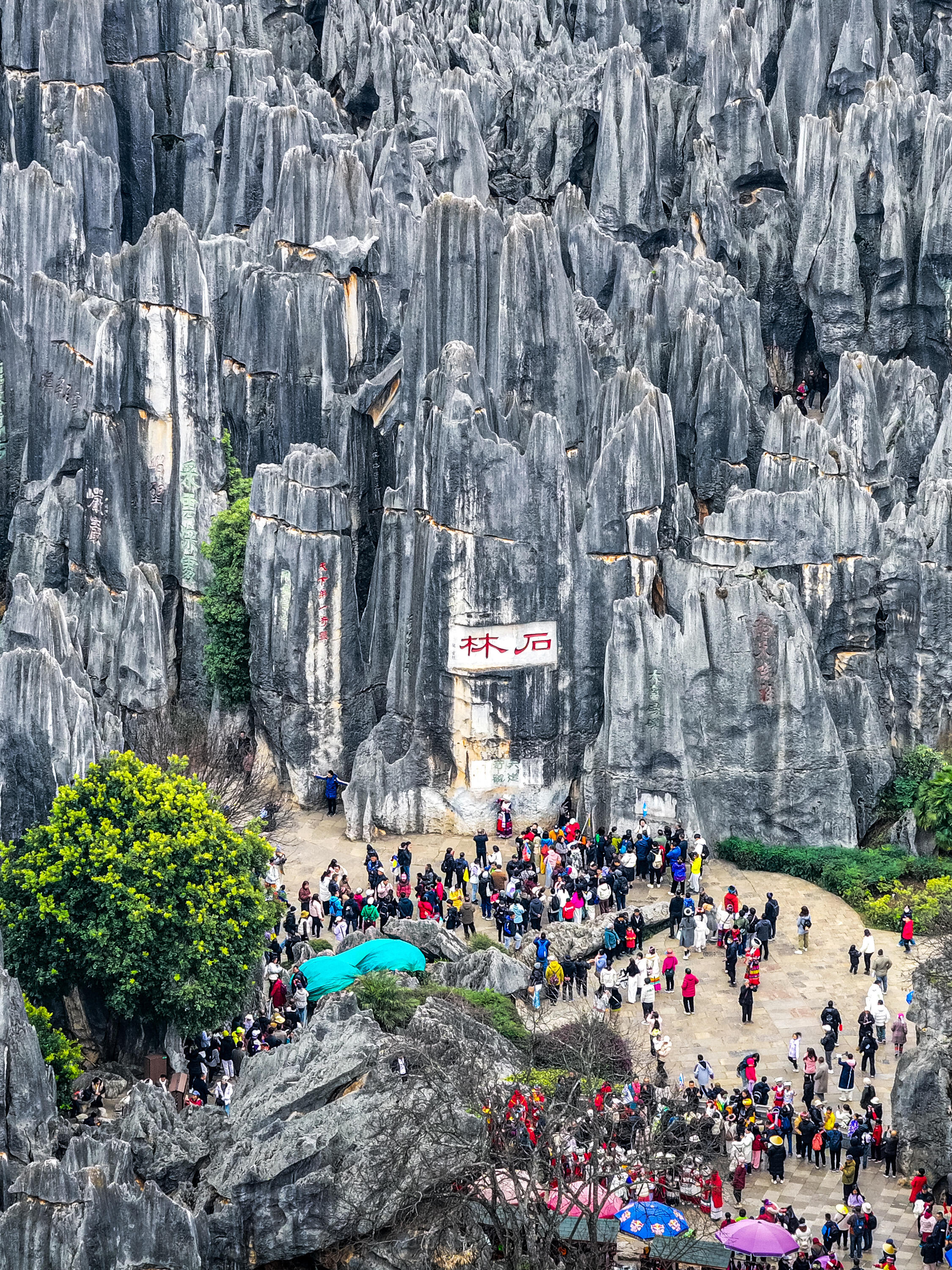 Day 2: Kunming — Stone Forest & City Cultural Highlights
