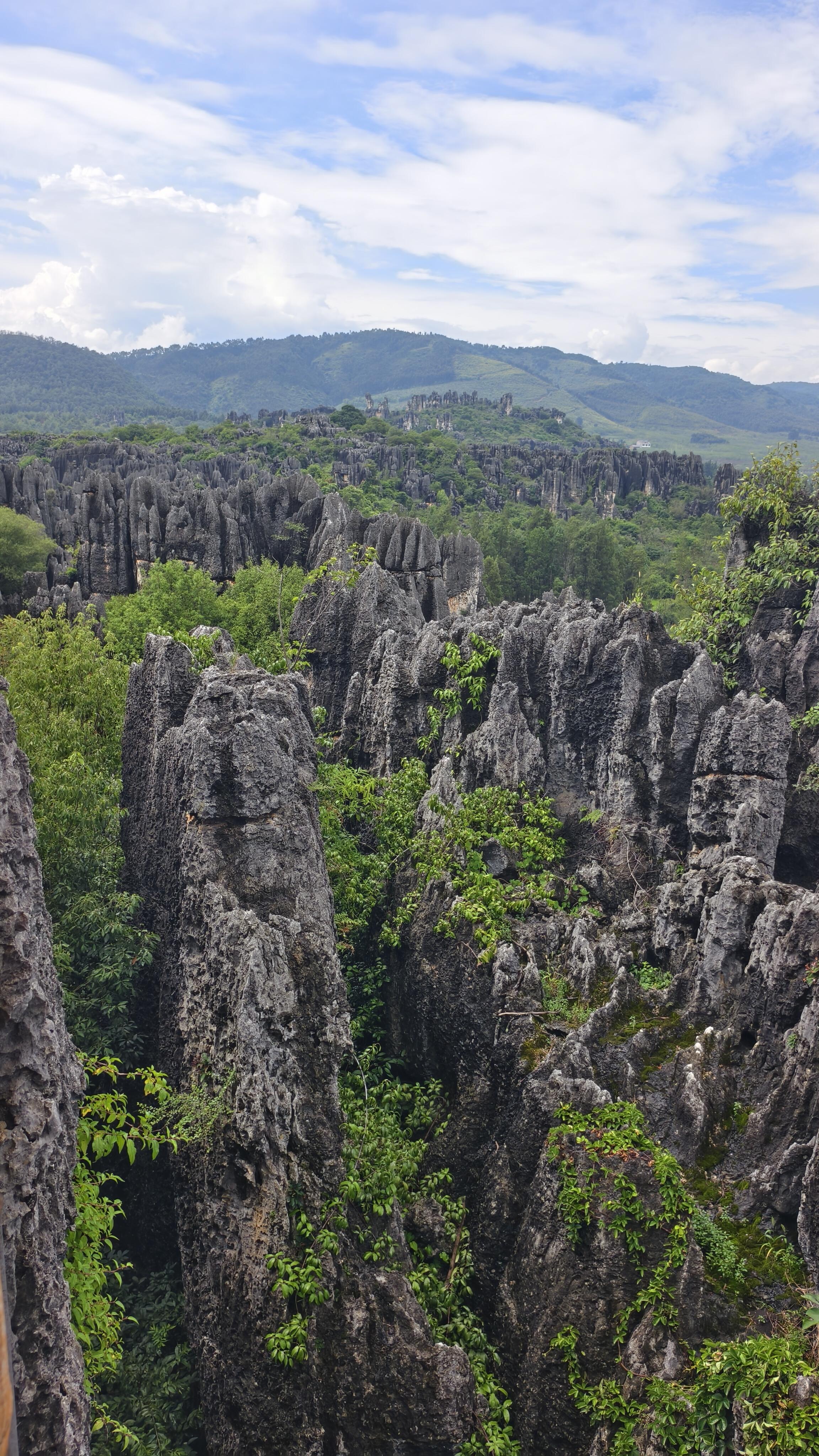 Explore the Quieter Side of the Stone Forest