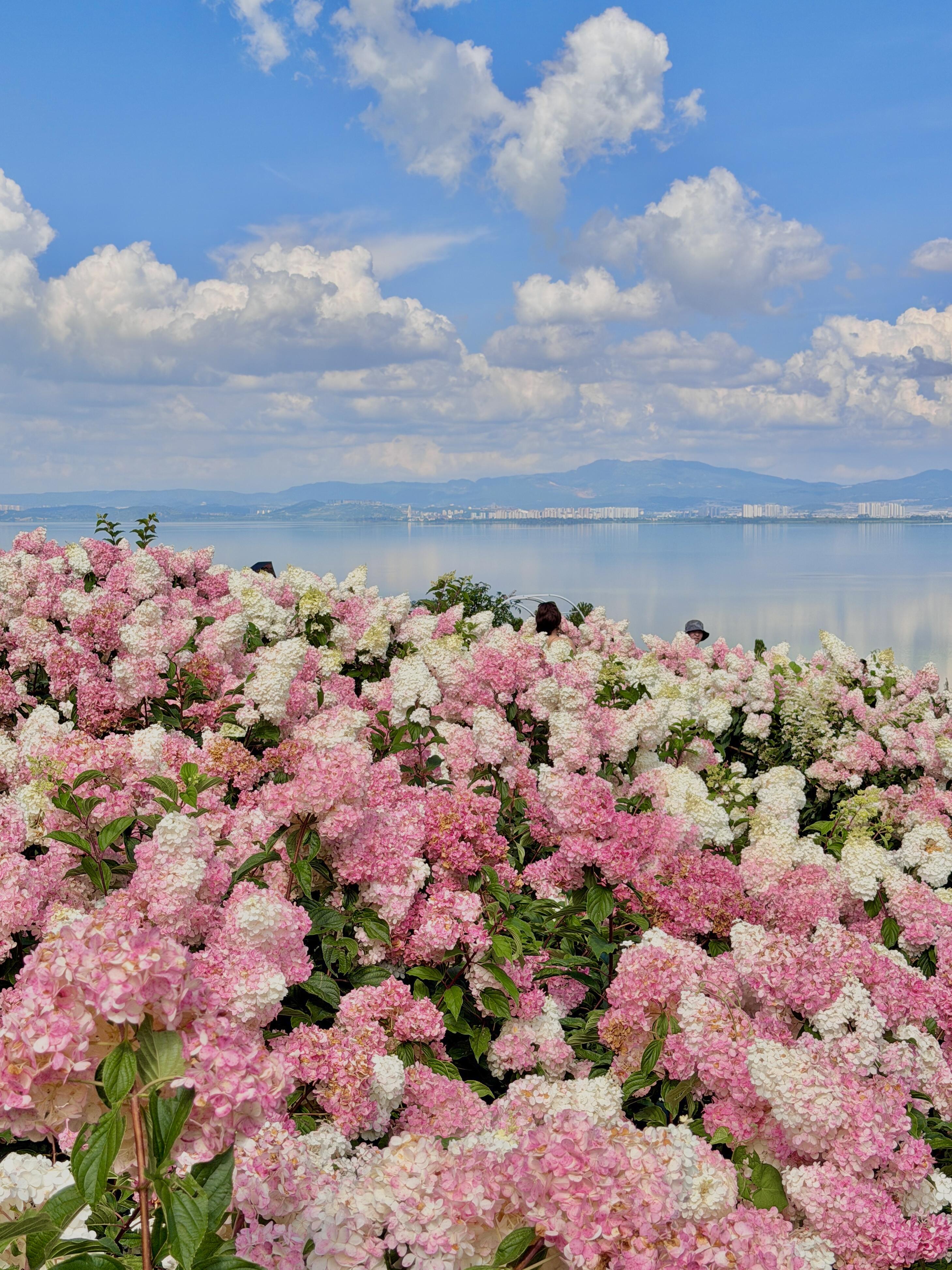8-Day Kunming, Dali, Lijiang & Shangri-La Discovery Tour
