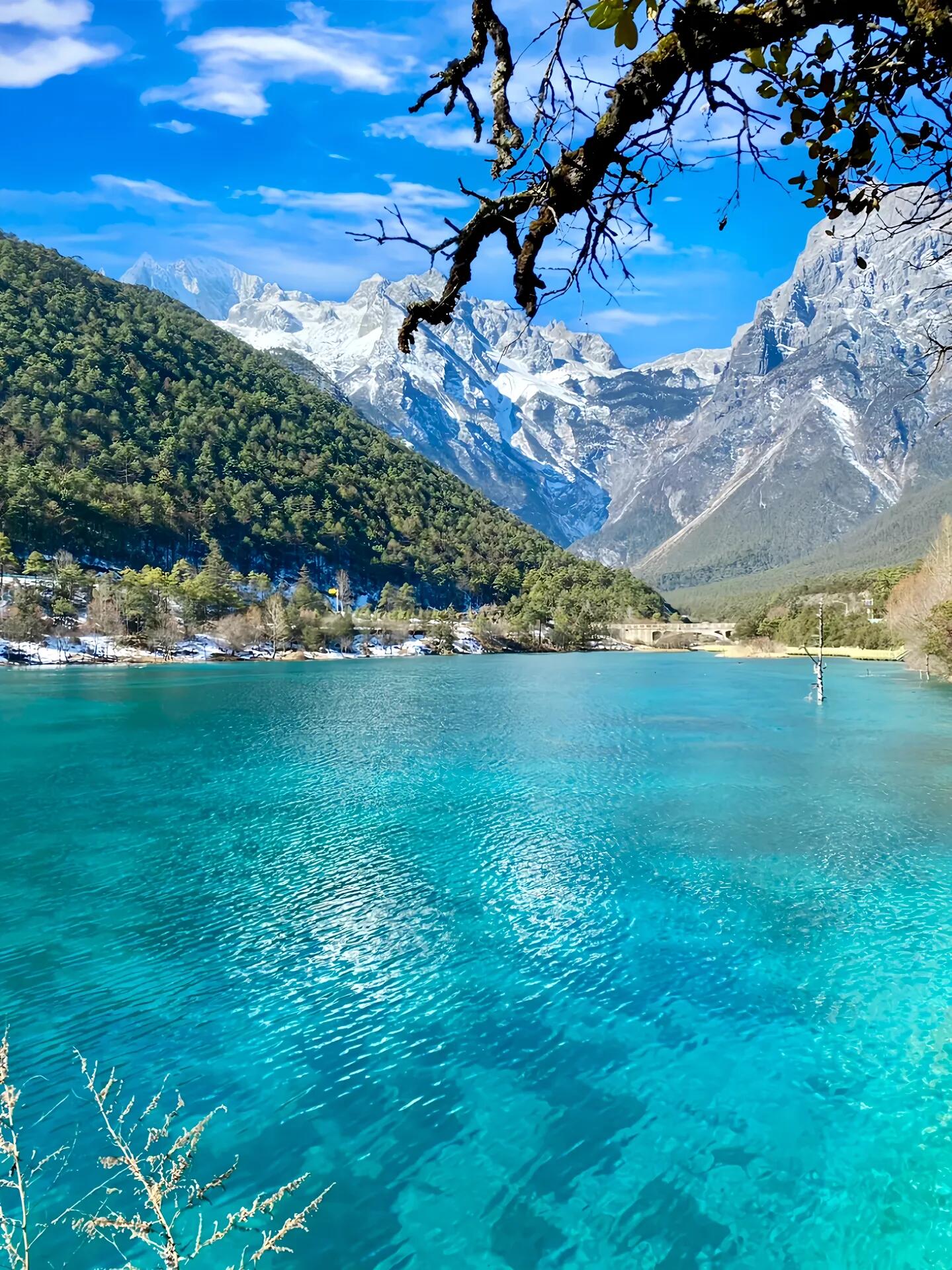 Day 4: Lijiang — Jade Dragon Snow Mountain, Blue Moon Valley, Lashihai & Black Dragon Pool