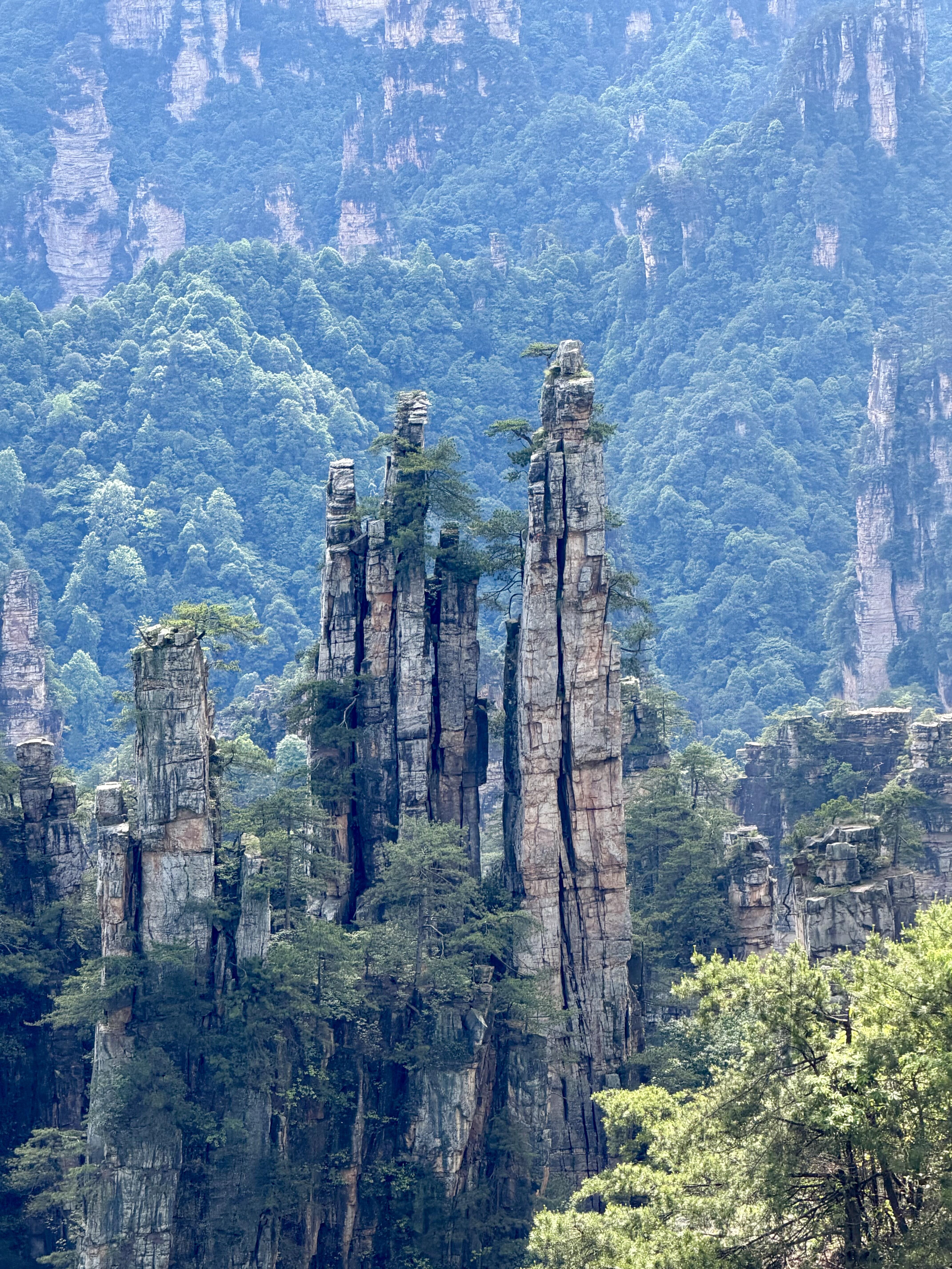 Explore Zhangjiajie National Forest Park