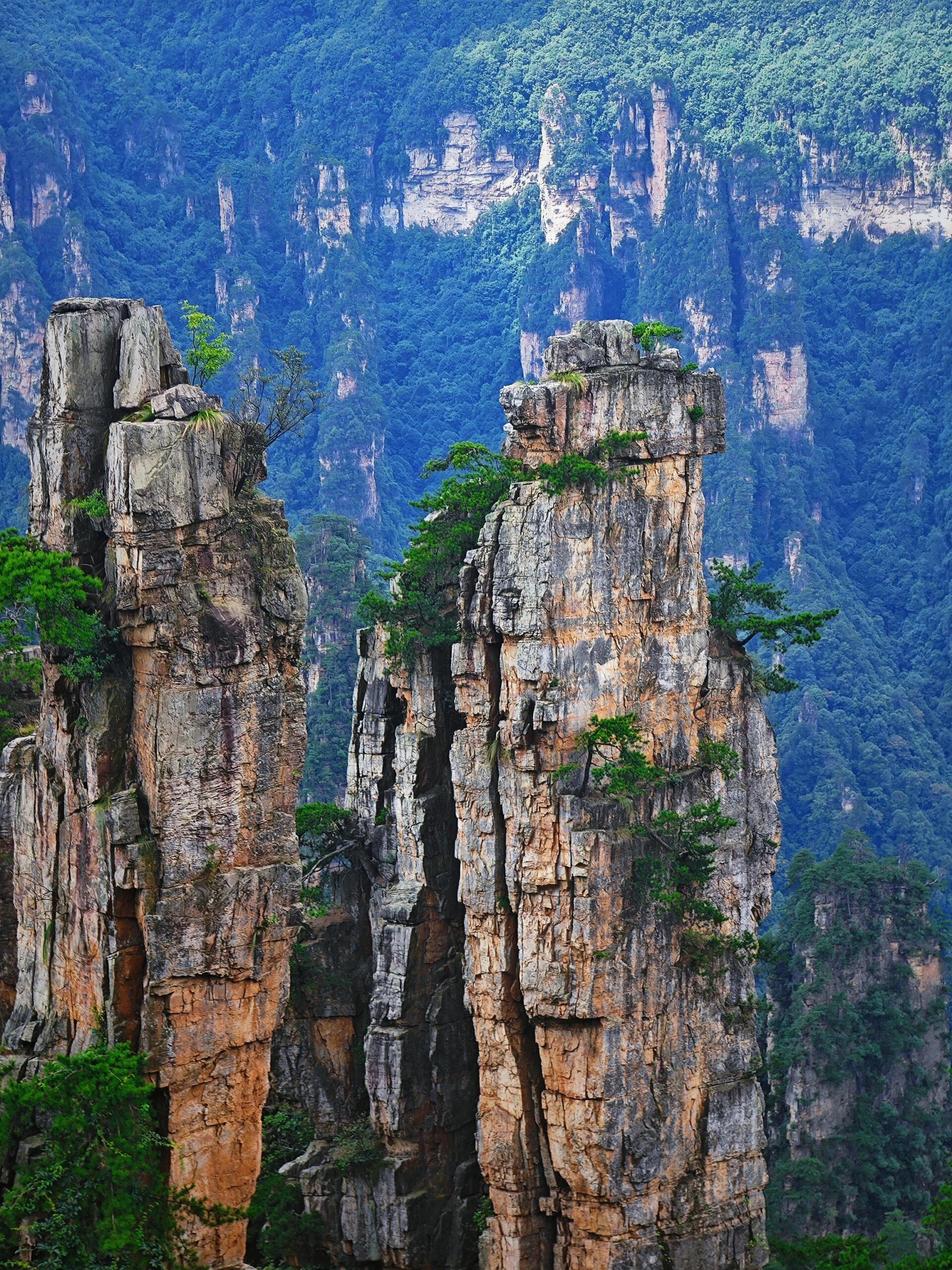 Zhangjiajie National Forest Park — Golden Whip Stream & Tianzi Mountain