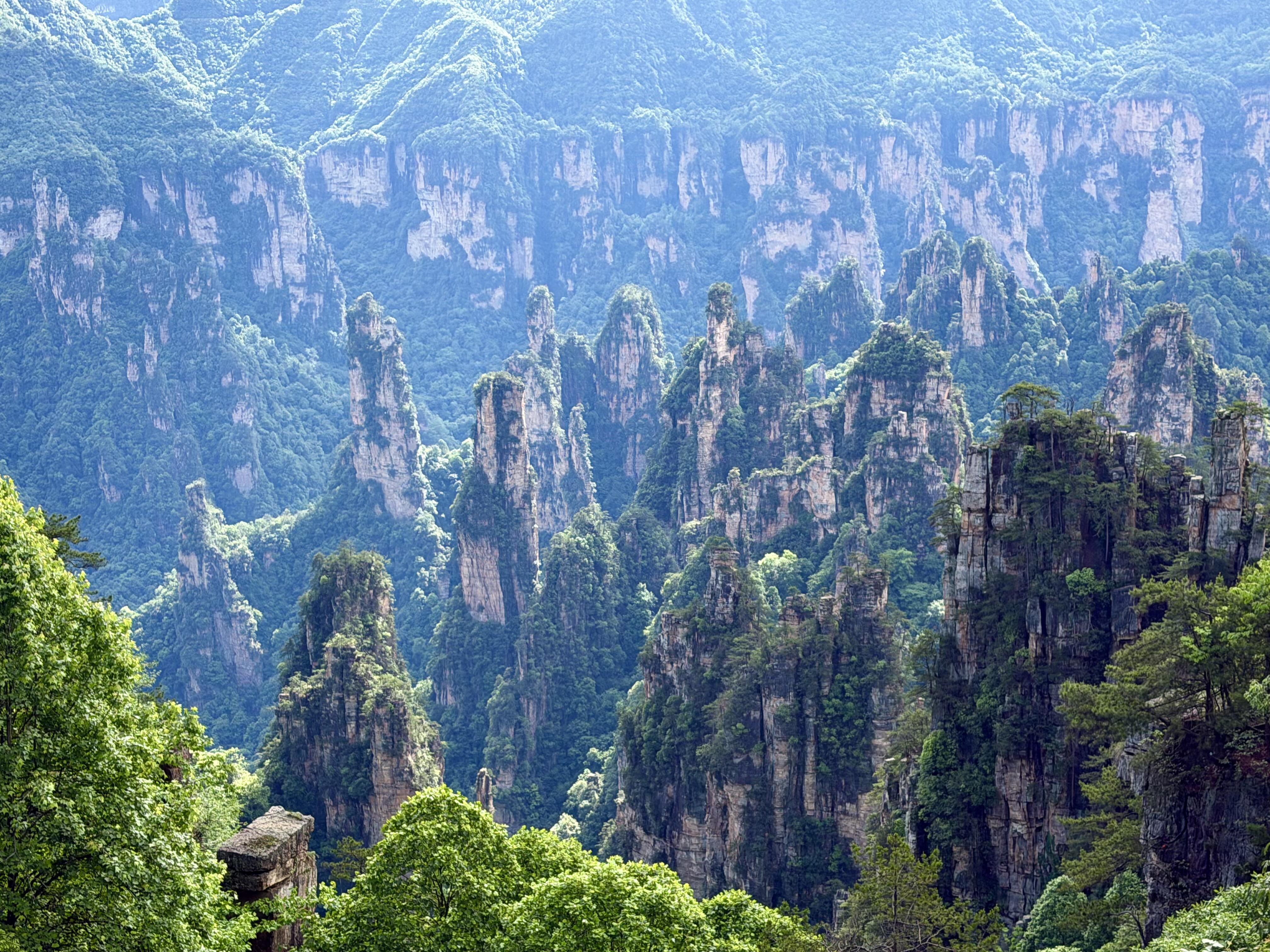 Step Into Zhangjiajie's “Avatar” Landscape